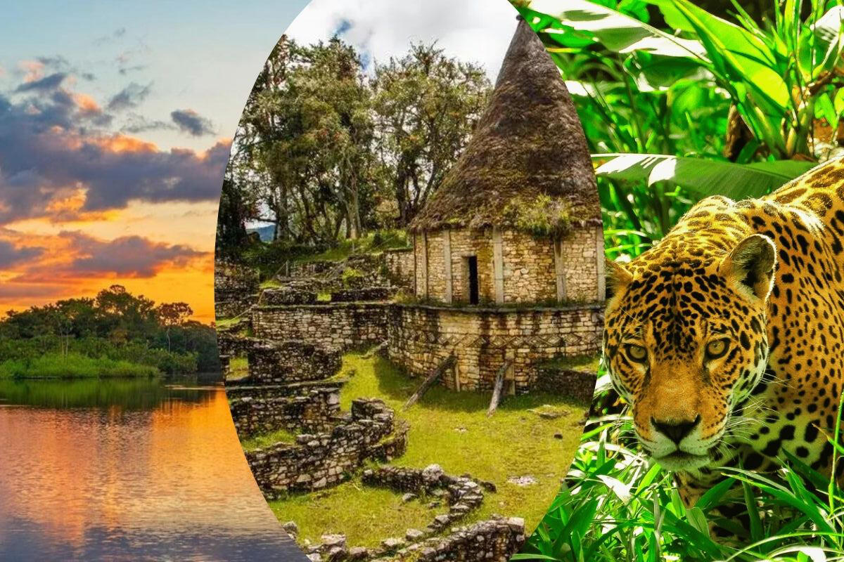 collage de tres fotos de la selva: naturaleza, cultura y fauna