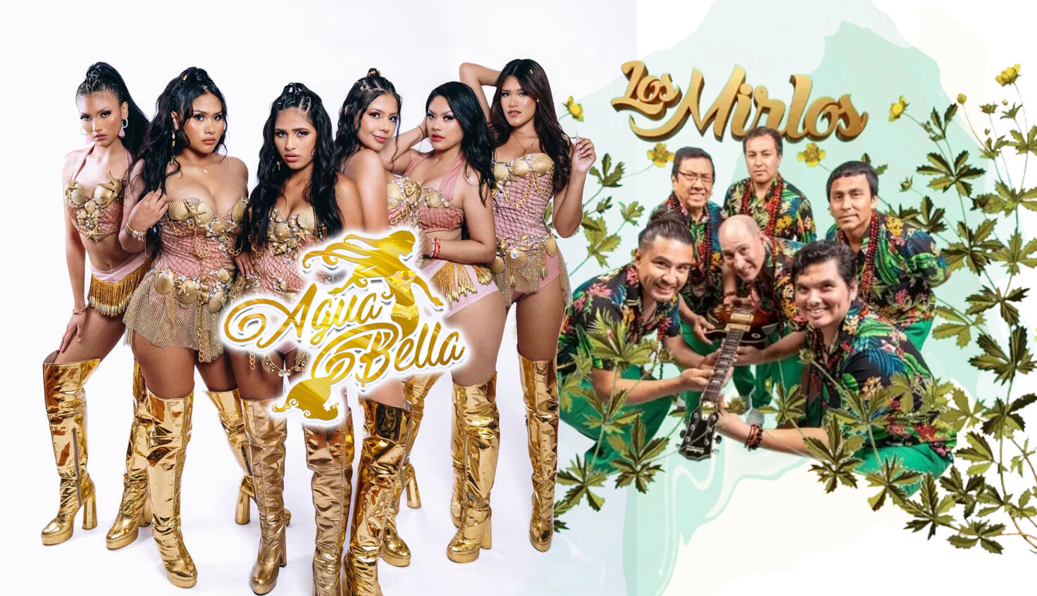 collage de Agua bella y Los Mirlos