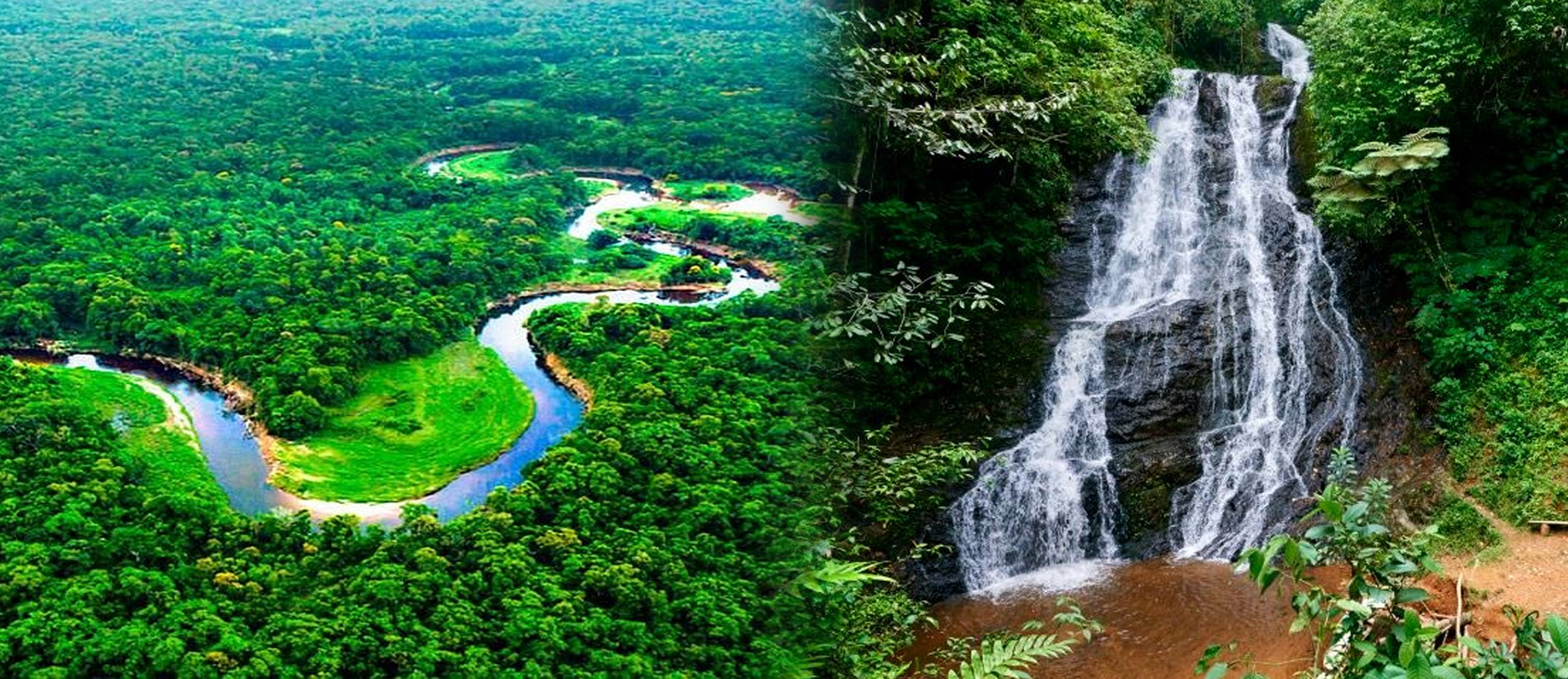dos fotos collage de paisajes de la selva