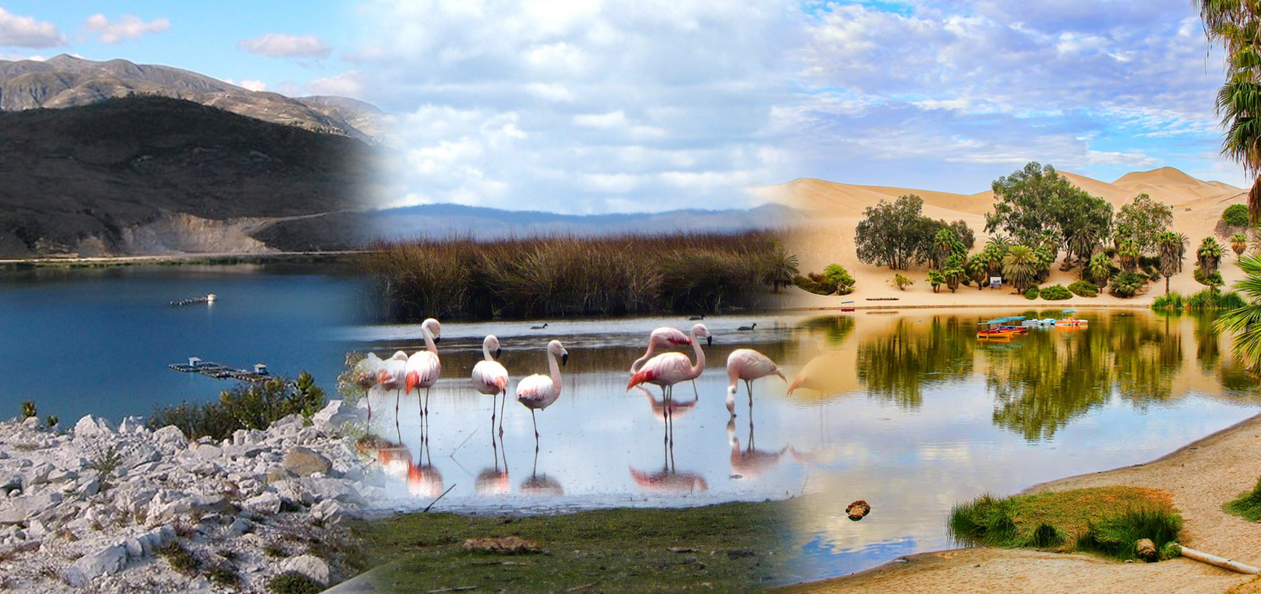 collage de lagunas representativas de la costa peruana