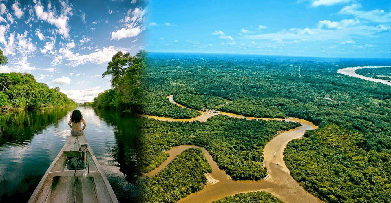 collage de los rios del amazonas