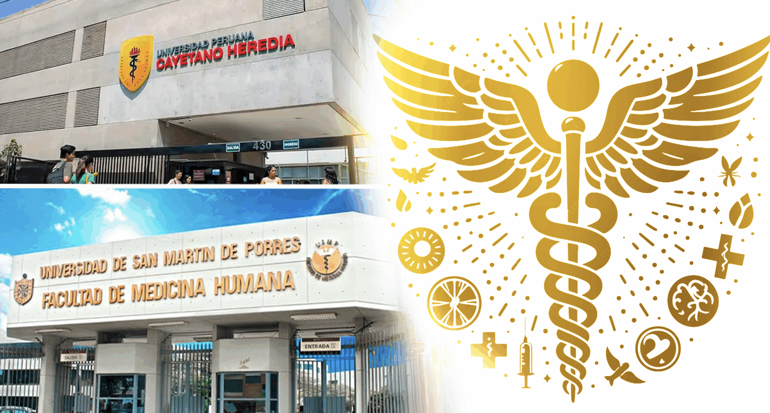 collage con vista de la facultad de ciencias de la universidad San Martin, Cayetano Heredia junto al simbolo alado de la carrera de medicina rodeado de diferentes iconos de especialidad