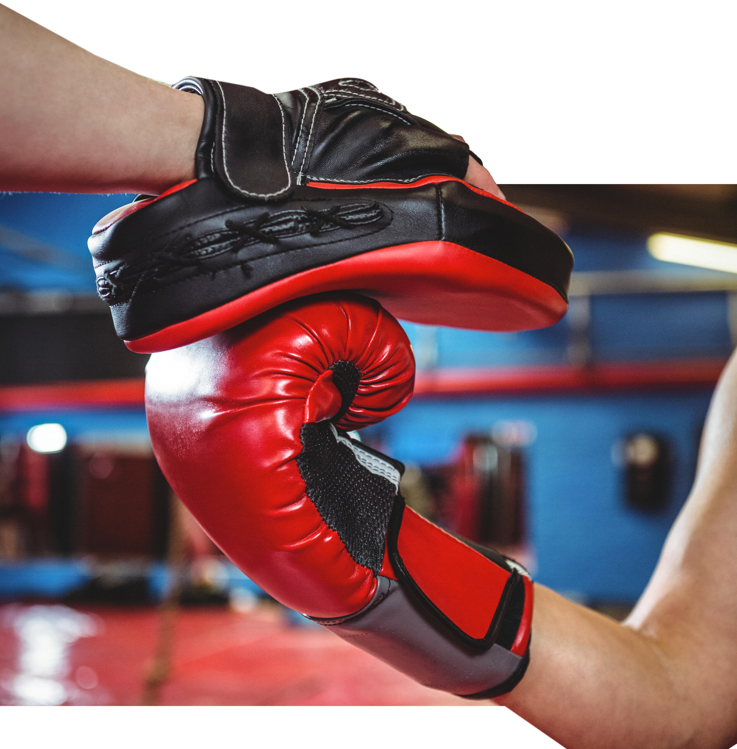 dos puños con implementos de box saliendo de un fondo de ring