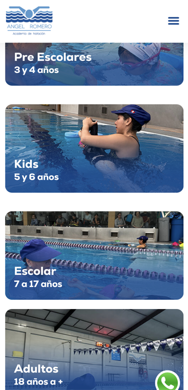 screenshot de la página web de la Academia Angel Romero