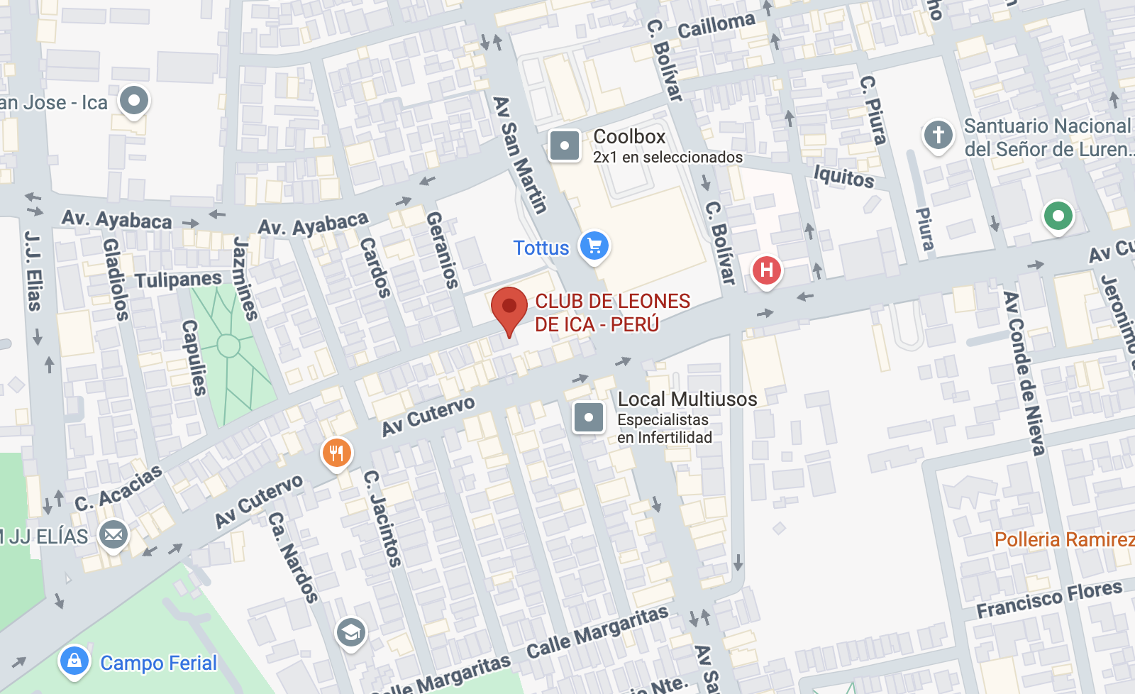 Screenshot de la dirección de la academia Leones del Sur: Av. Miguel Grau s/n, Parcona (Piscina municipal Gaby Perez del solar)