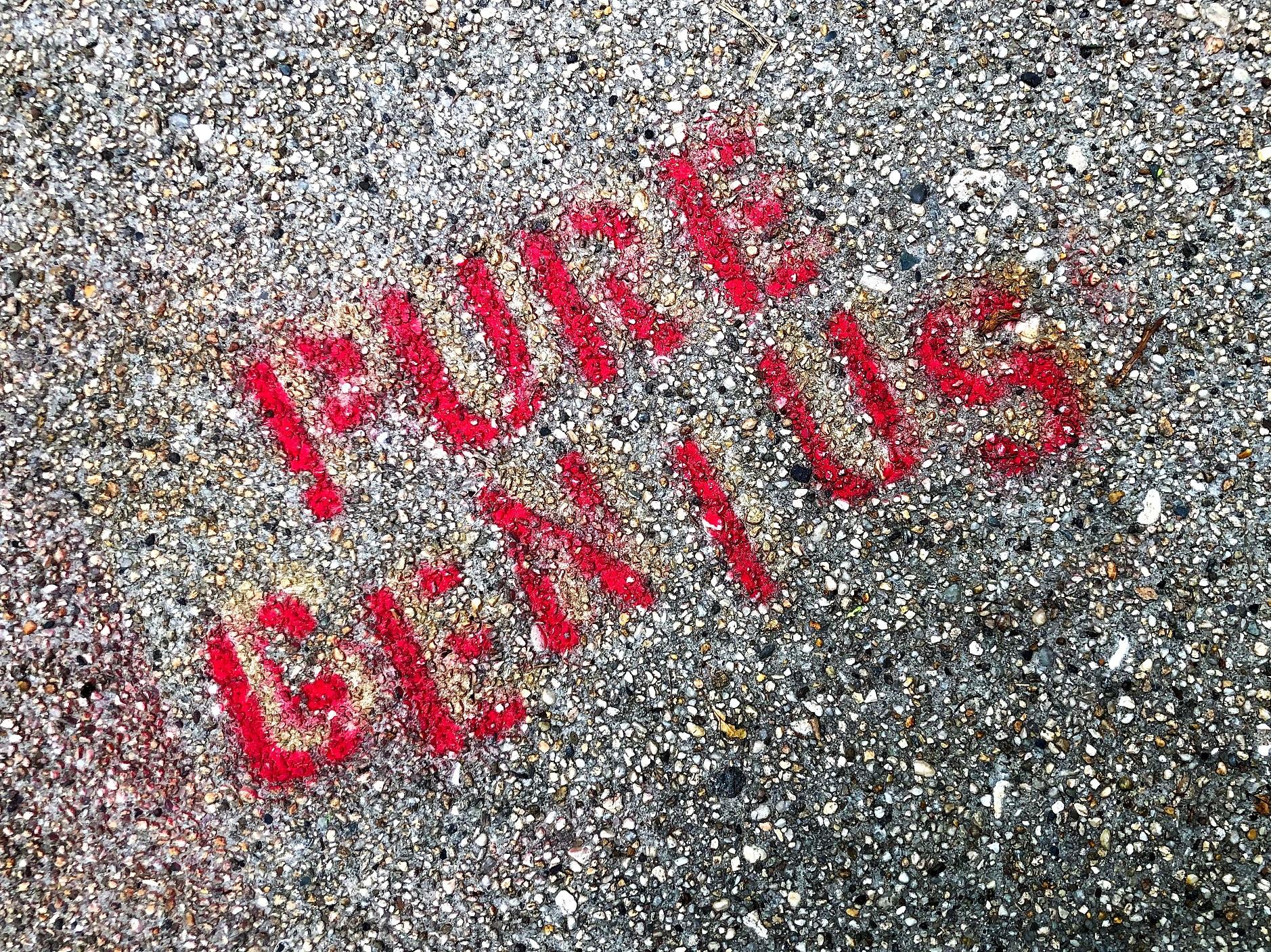 Czerwony napis "pure genius" na kamykach.