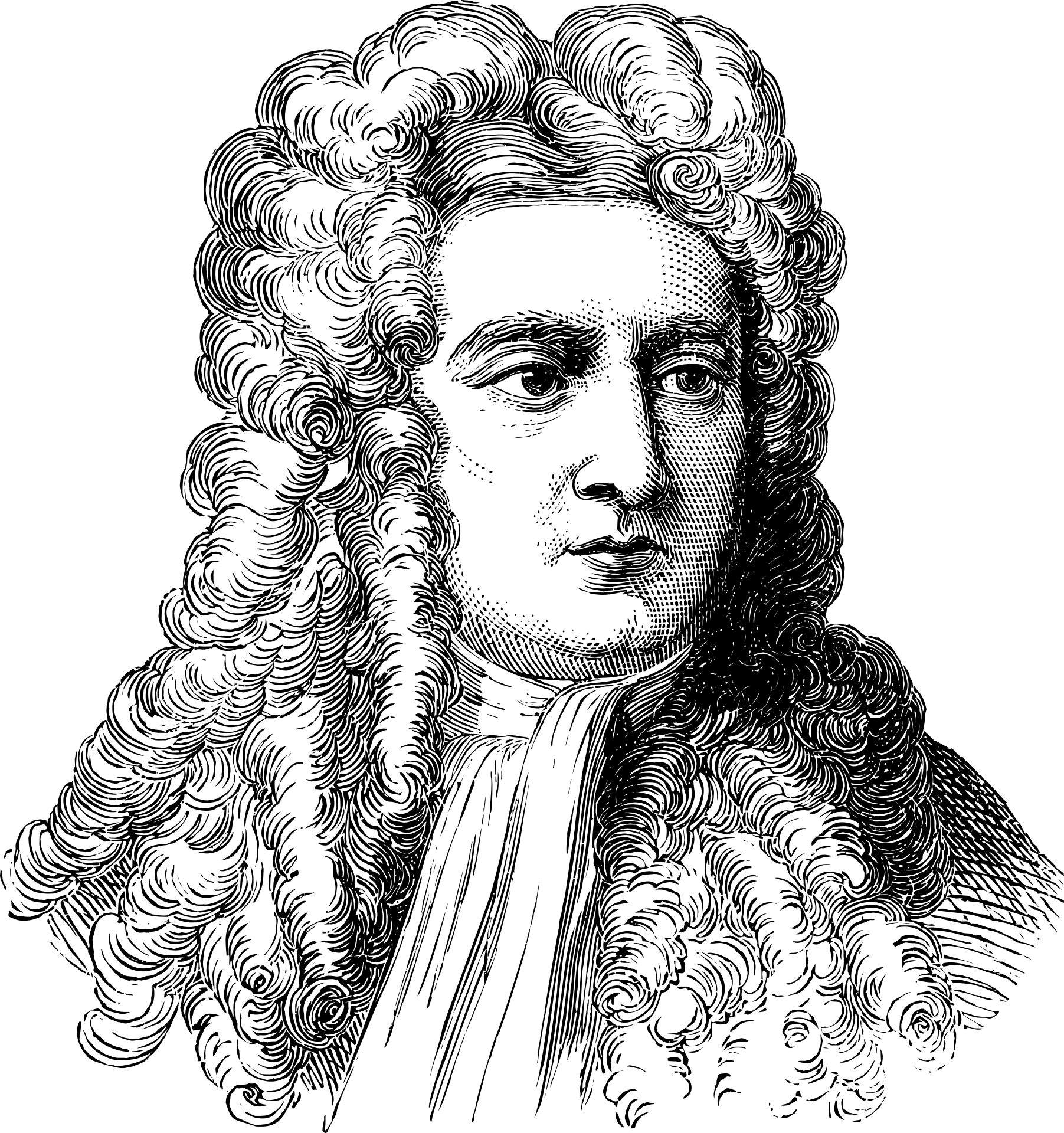 Czarnobiały szkic twarzy Isaaca Newtona.