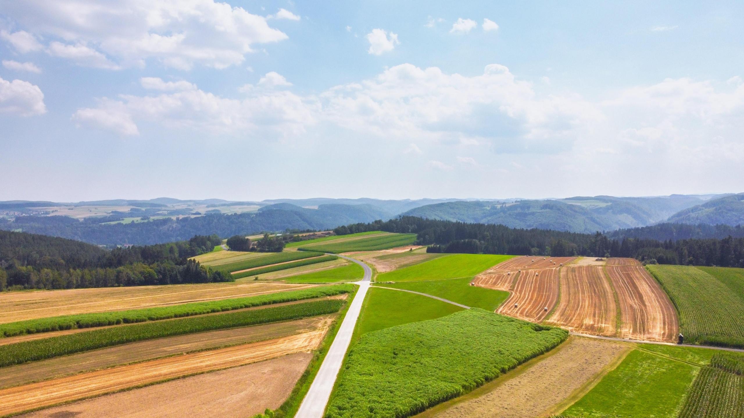 Zielone i zaorane pola.
