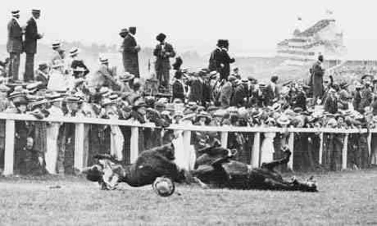 Śmierć Emily Davison w skutek obrażeń z rozpędzonym koniem, przewrócony koń na torze wyścigowym i tłum gapiów.