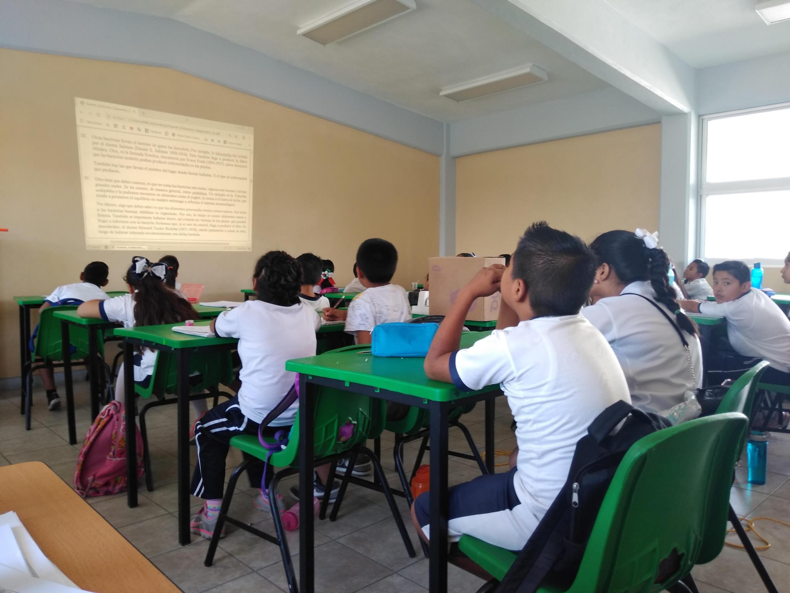 Grupa uczniów przy ławkach na lekcji w klasie.