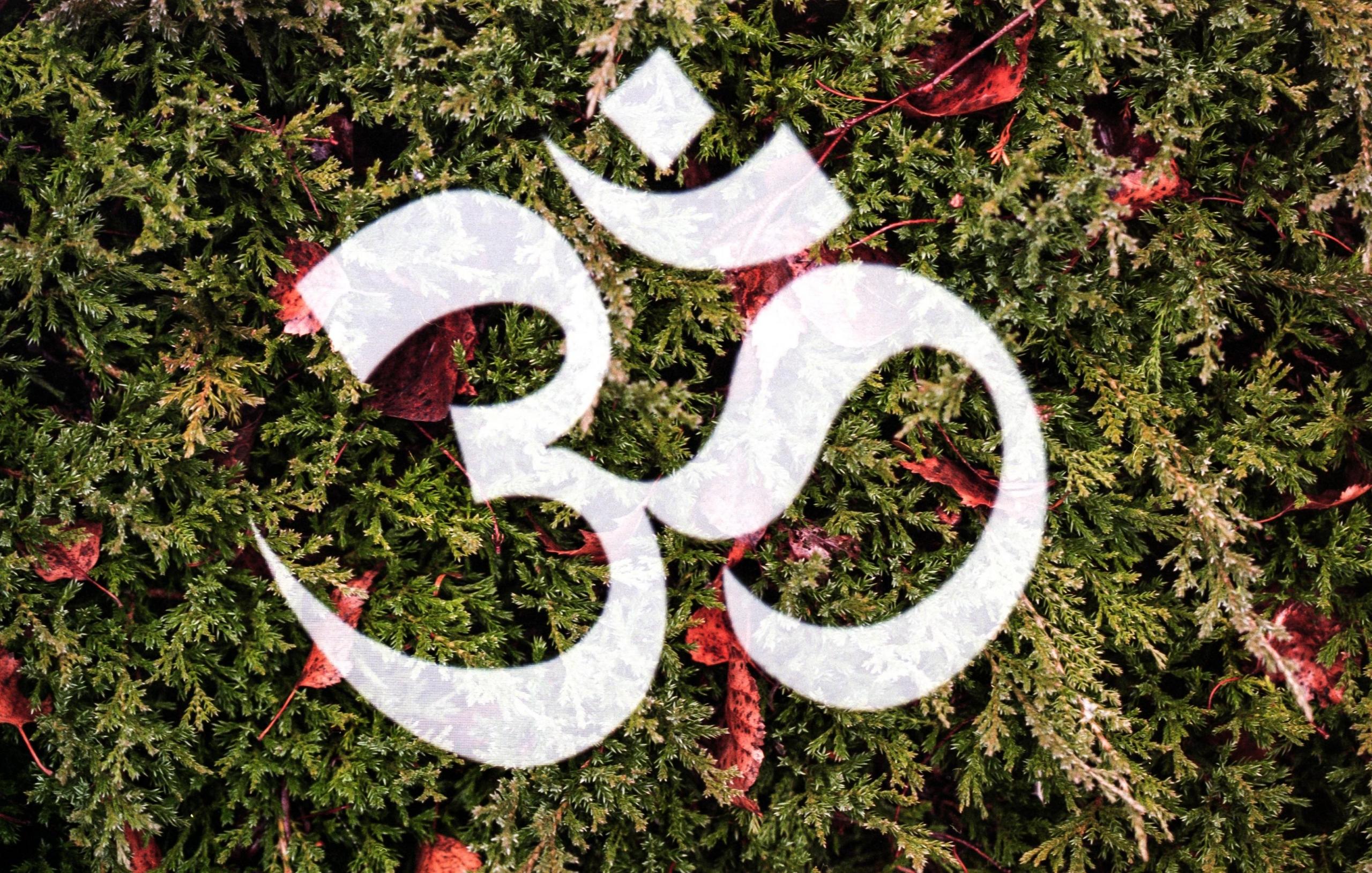 Litera om z sanskrytu.
