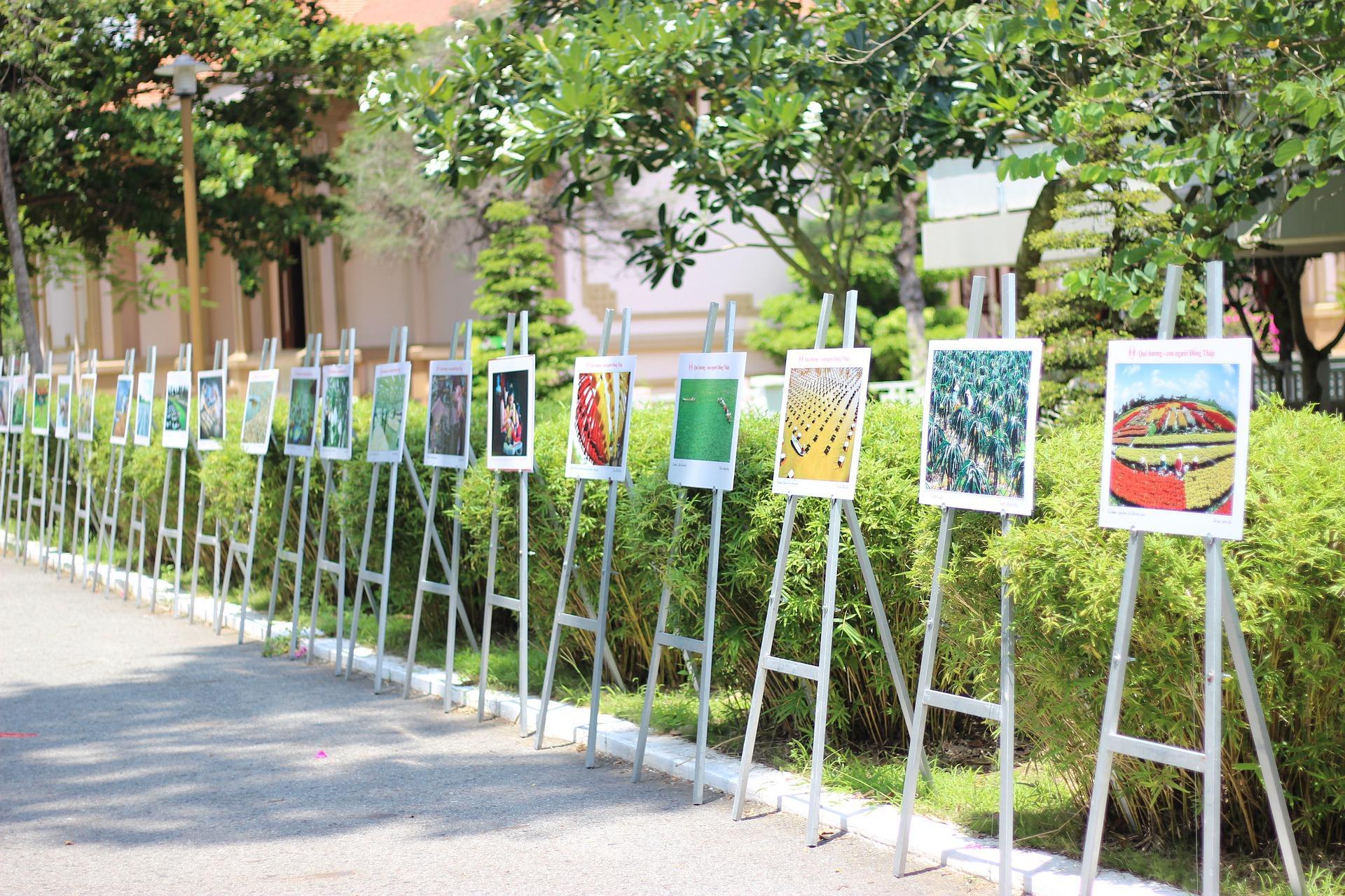 rozstawione w ogrodzie sztalugi ze zdjęciami