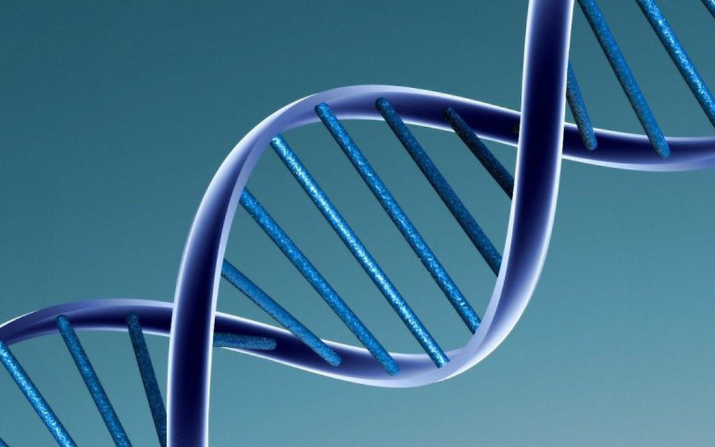 grafika z dna