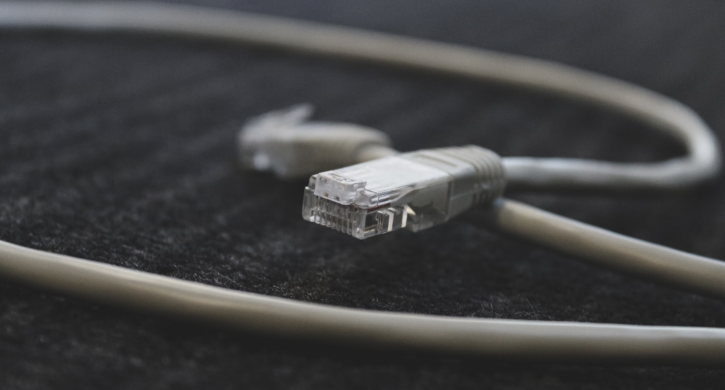 Końcówka kabla sieciowego Ethernet.