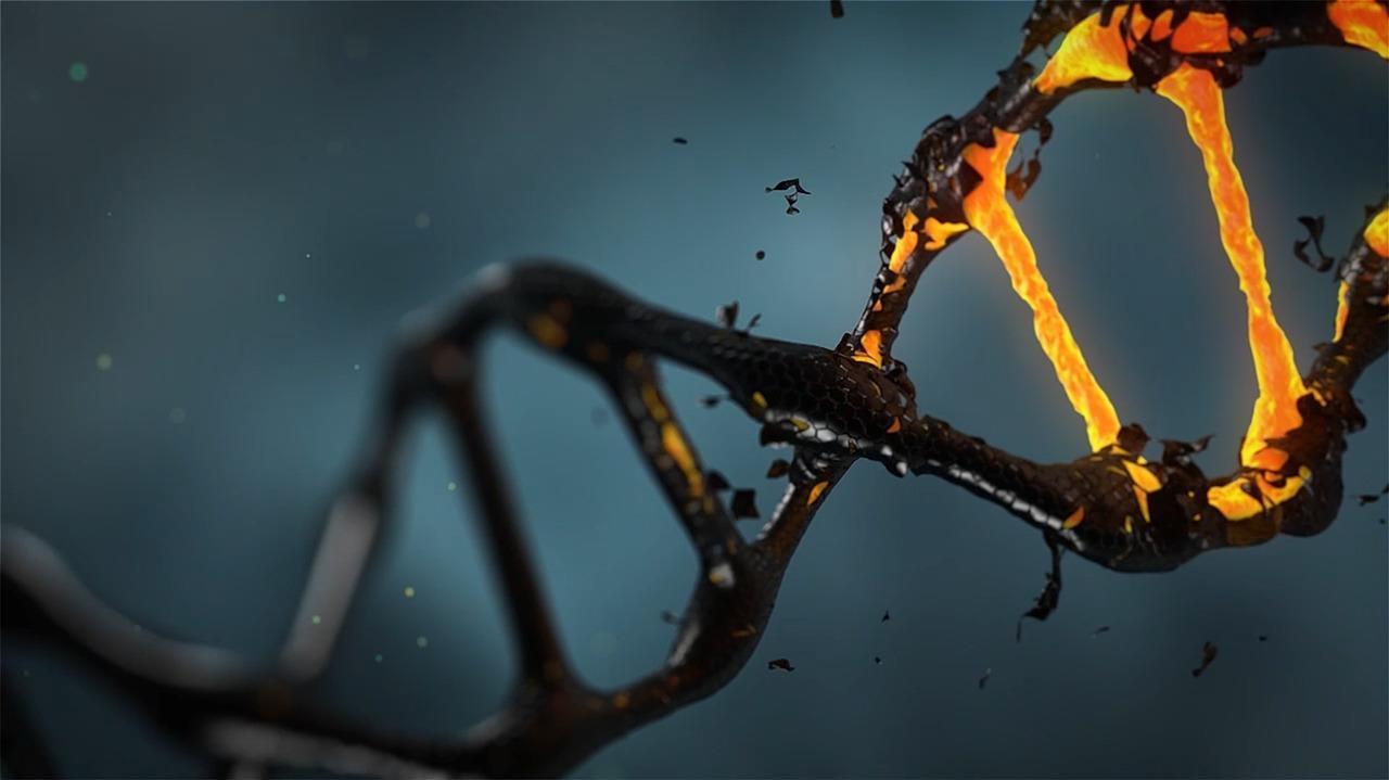 rozpadający się model dna