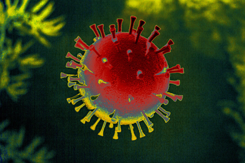 wirus w przybliżeniu