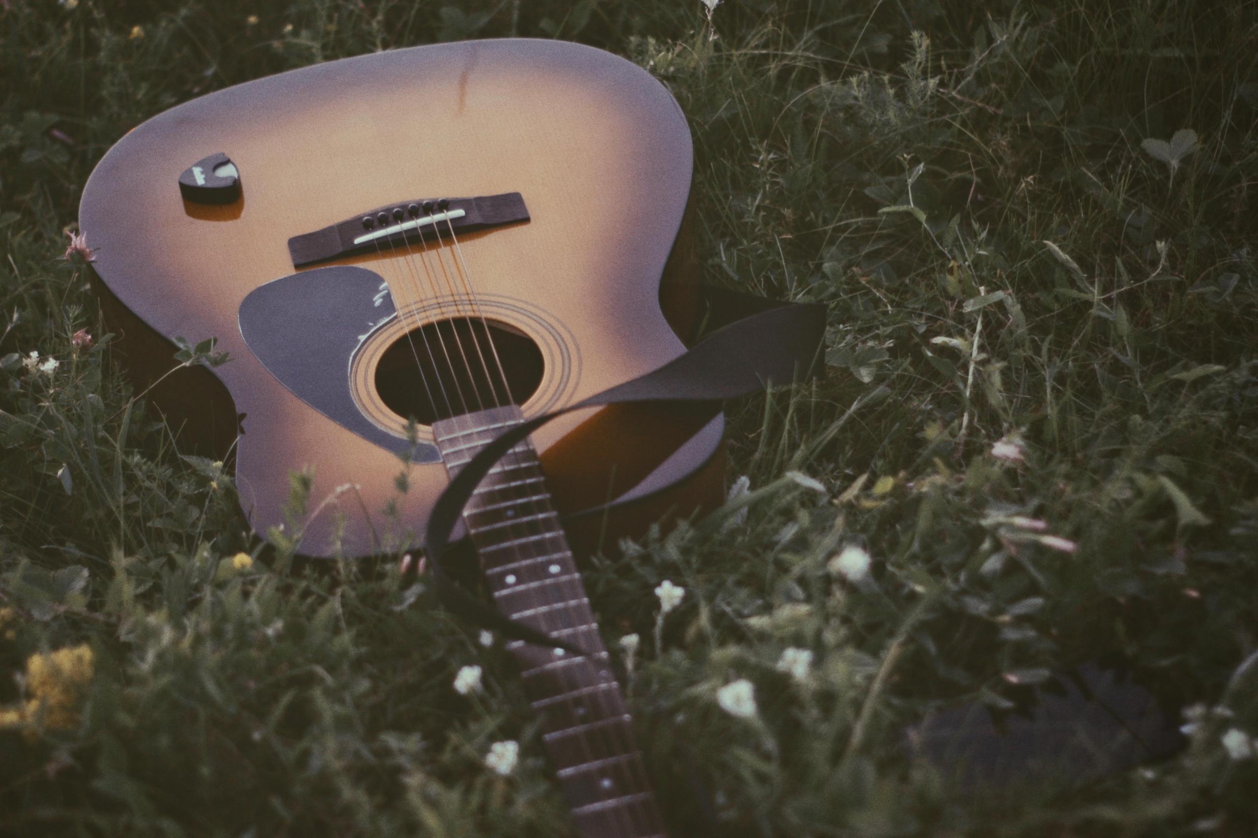 Gitara na trawie.