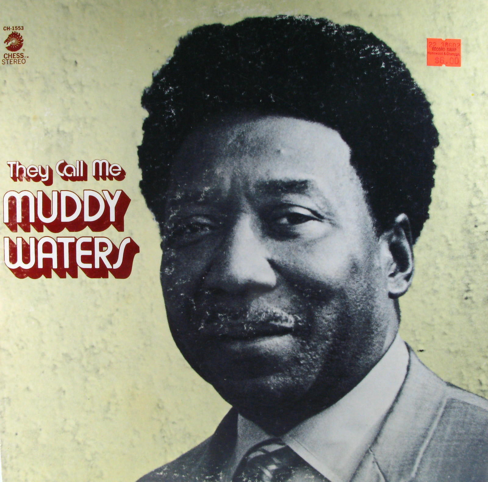 Muddy Waters, najsławniejsi gitarzyści, okładka płyty.