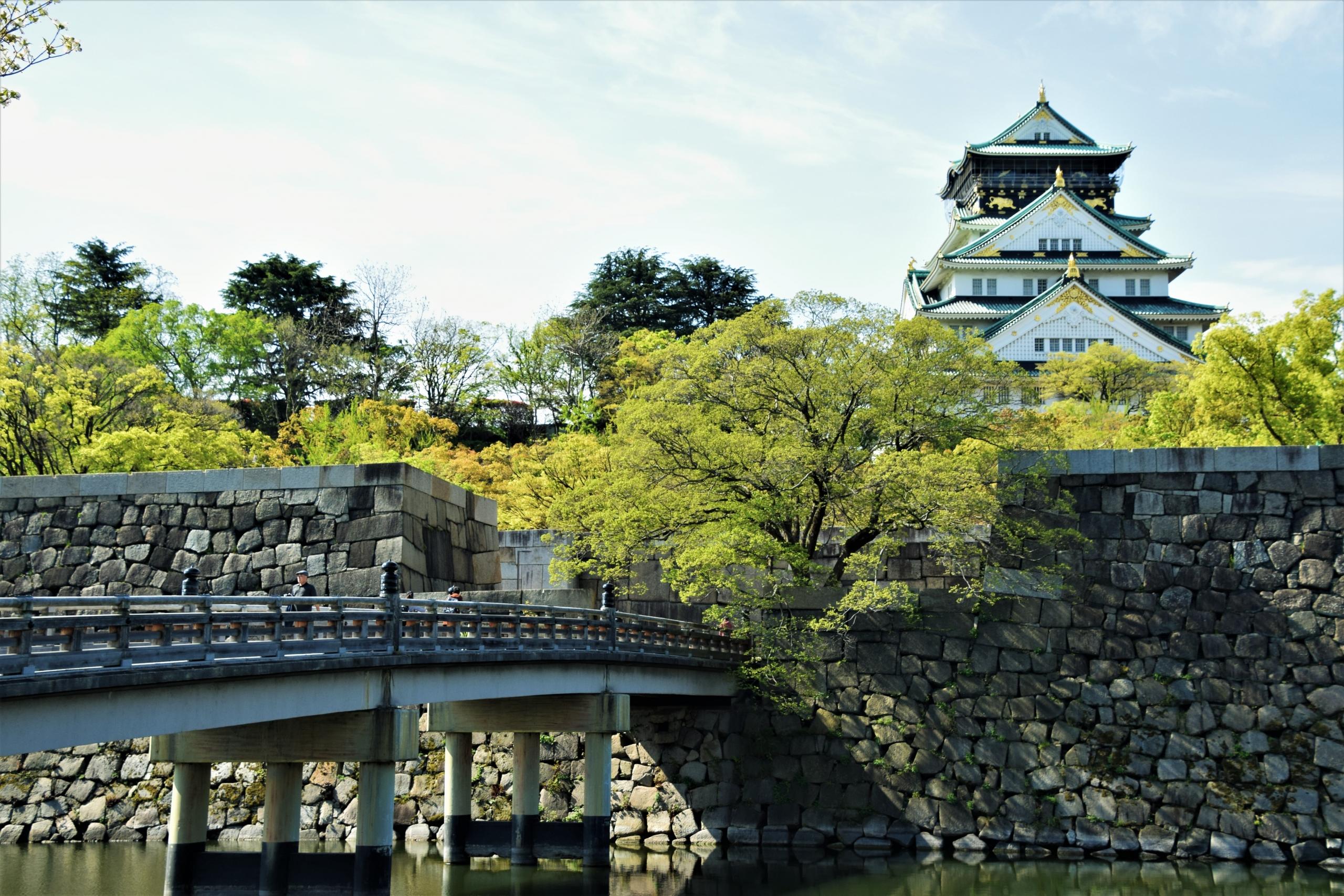 otoczony zielenią zamek osaka oraz most w osace w japonii w słoneczny dzień