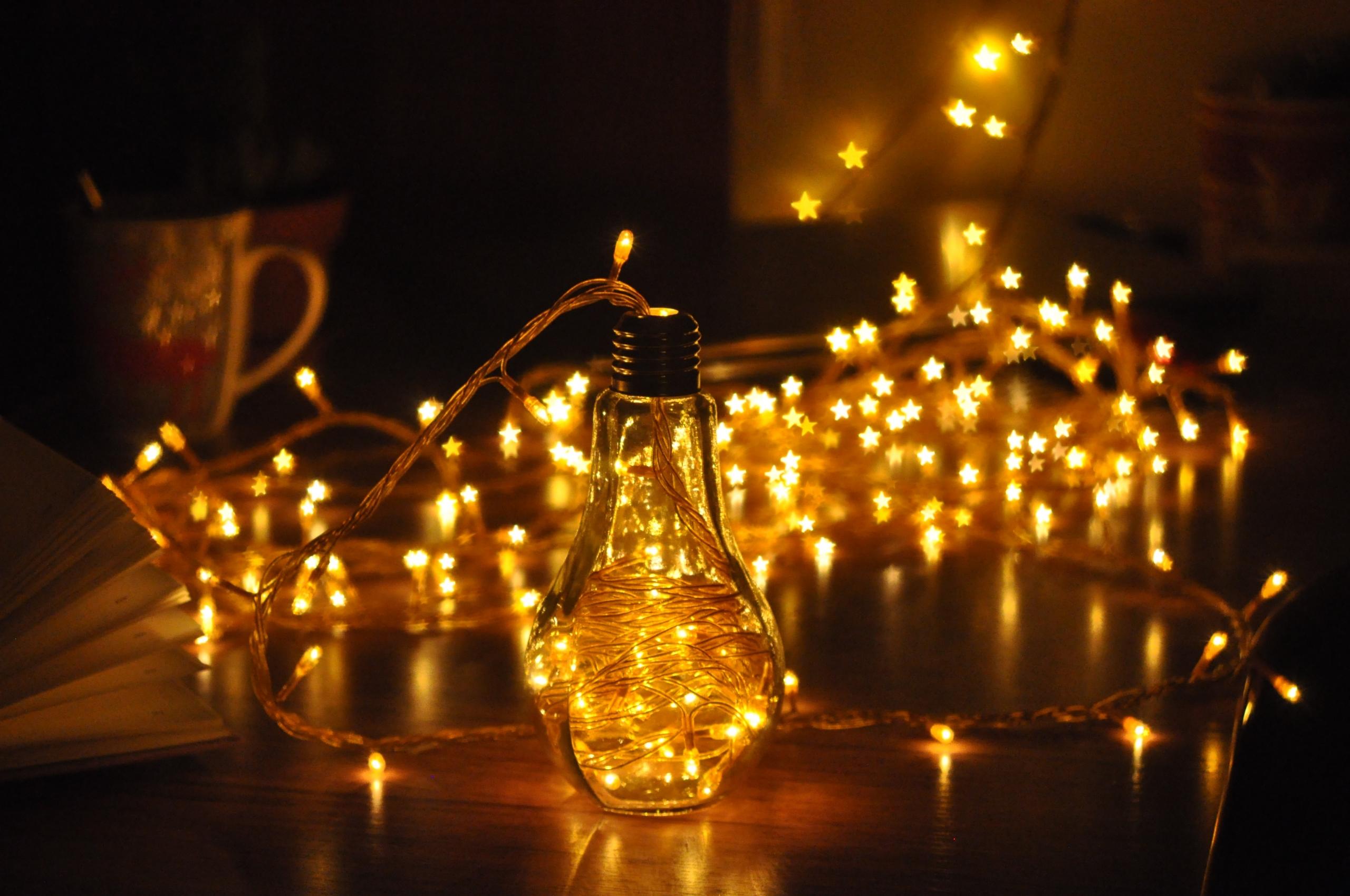 Pomysły na korepetycje z biologii w Poznaniu.