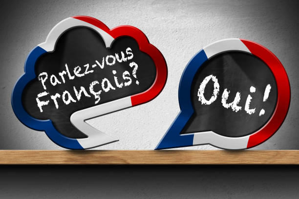 chmurki z pytaniem o znajomoćfrancuskiego i twierdzącą odpowiedzią po francusku