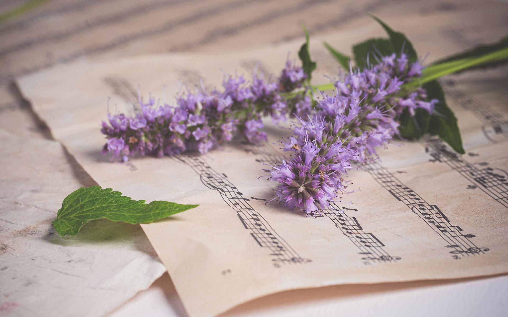 Kurs gry na pianinie Gdańsk, nauka czytania nut.