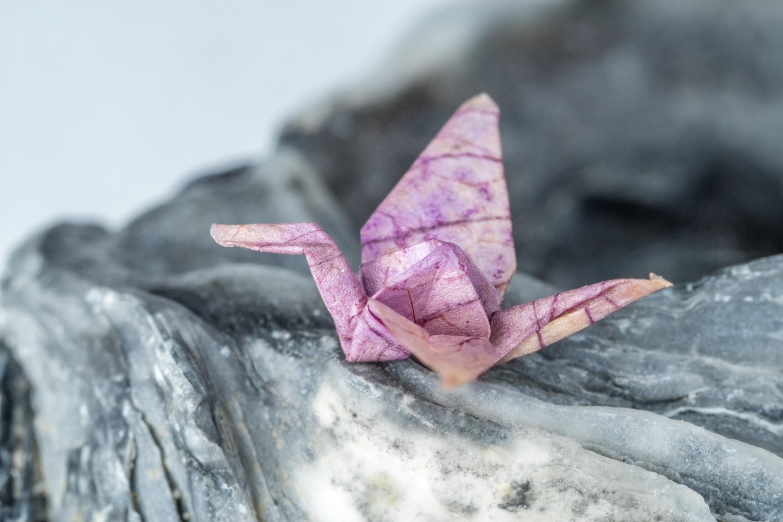 Kurs chińskiego, sztuka origami.