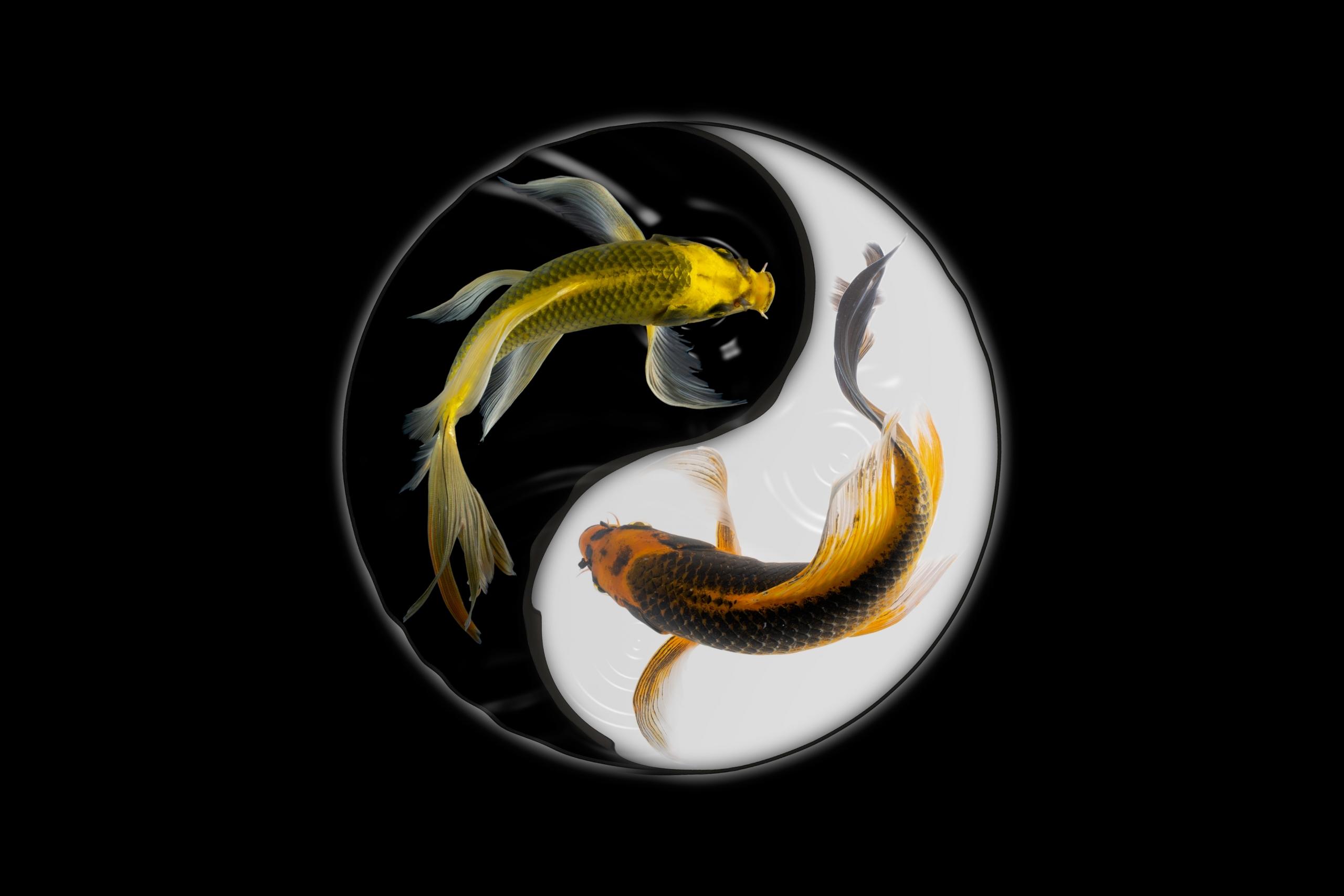 Yin Yang, kultura i tradycja w Chinach.
