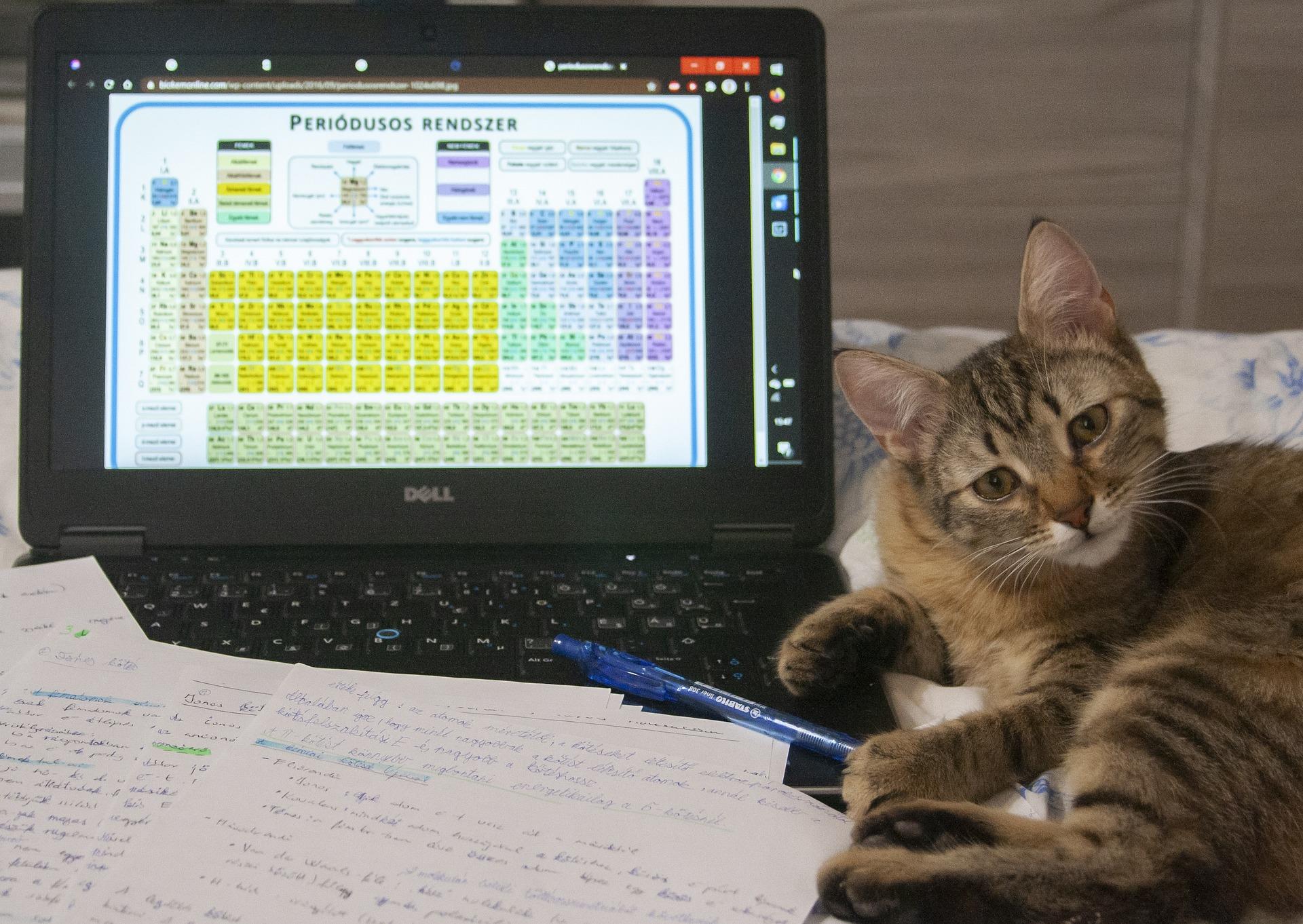 Nauka do egzaminu z chemii i kot.