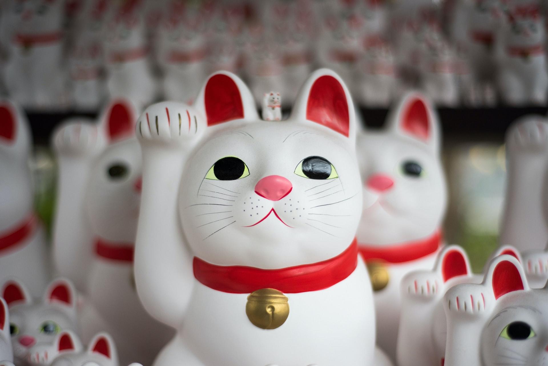 stos figurek japońskich kotków przynaszących szczęście maneki-neko