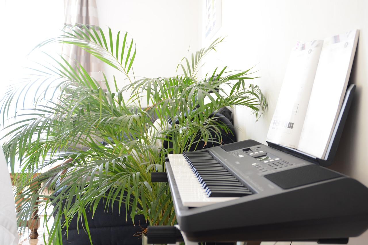 keyboard roślina okno zapis nutowy