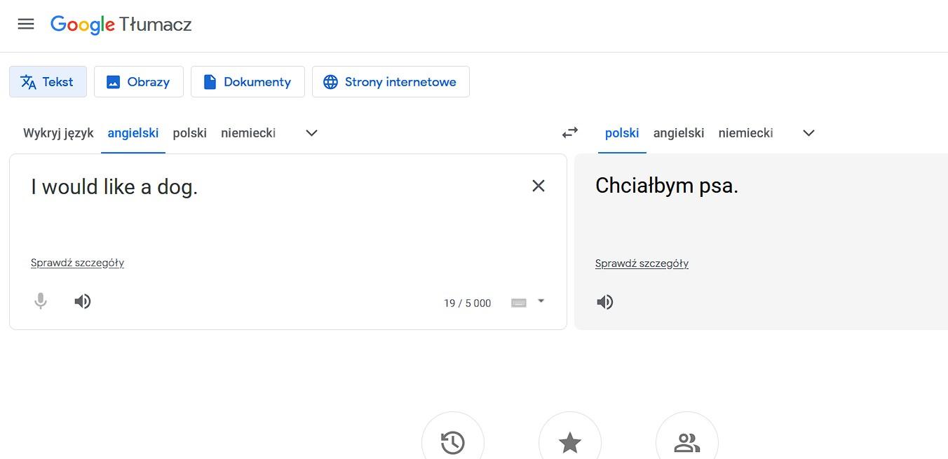 zrzut ekranu z tłumacza google z tłumaczeniem zdania angielskiego na polski