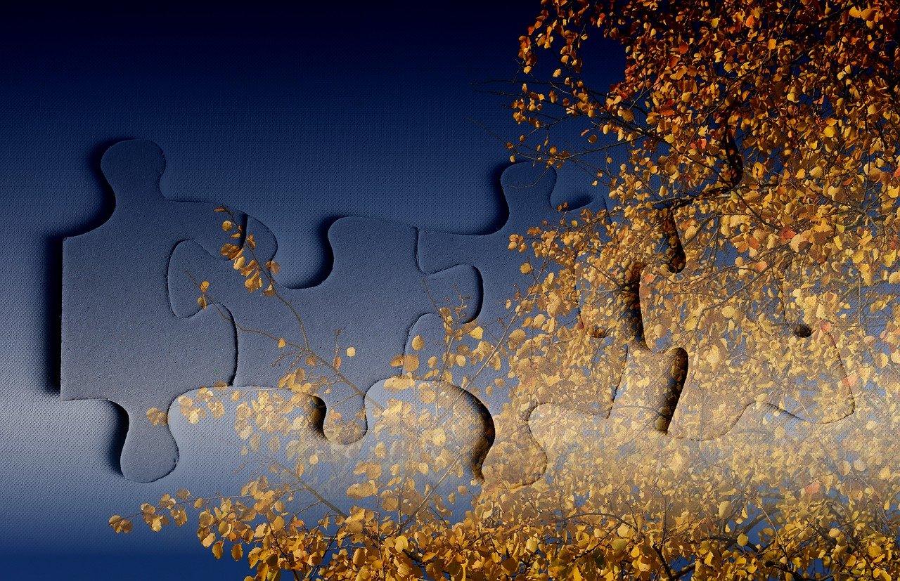 Elementy układanki, puzzle, liście.