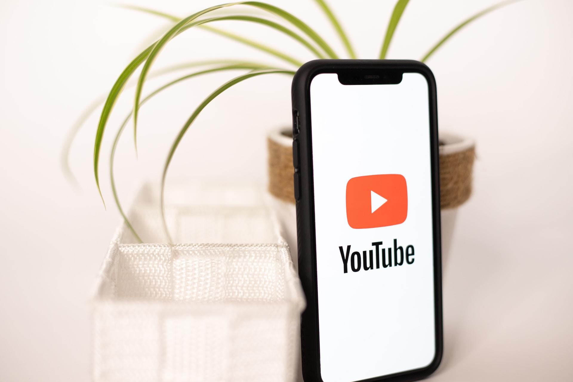 Telefon z aplikacją YouTube, roślina doniczkowa, pojemnik z przegrodami.
