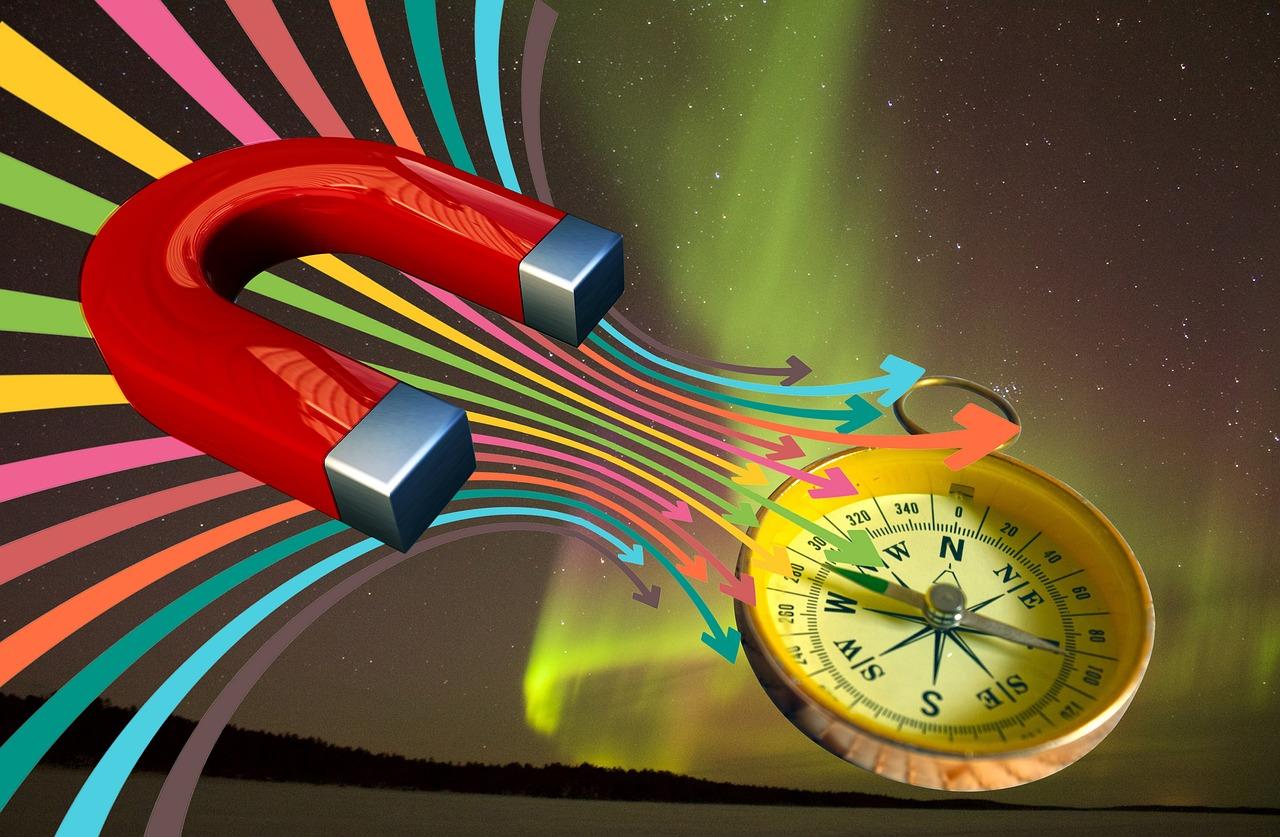 Magnez w kształcie podkowy, linie pola magnetycznego, kompas.