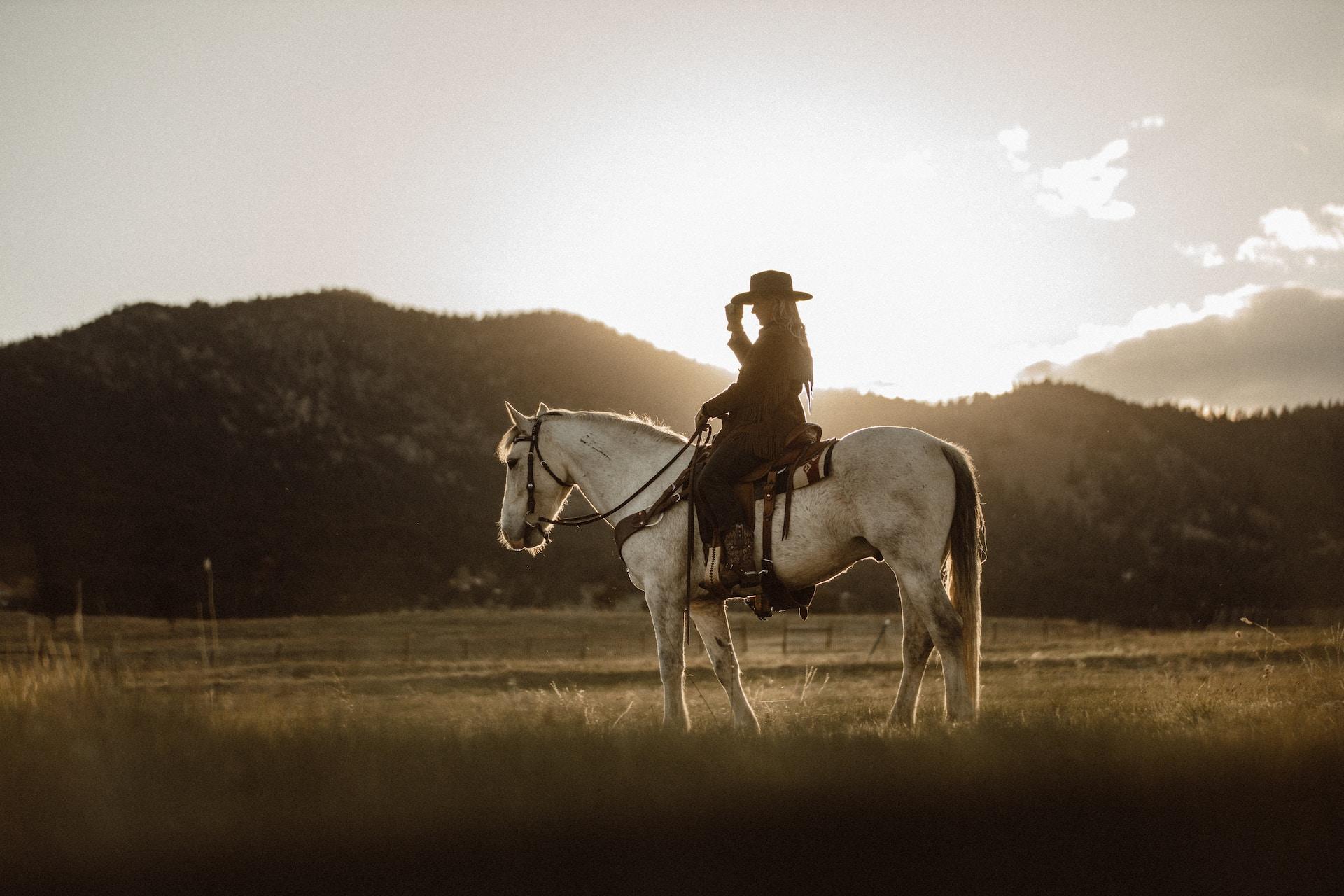 Kobieta cowboy na koniu, widok typowo Texasowy, wzgórza i łąka, zachód słońca