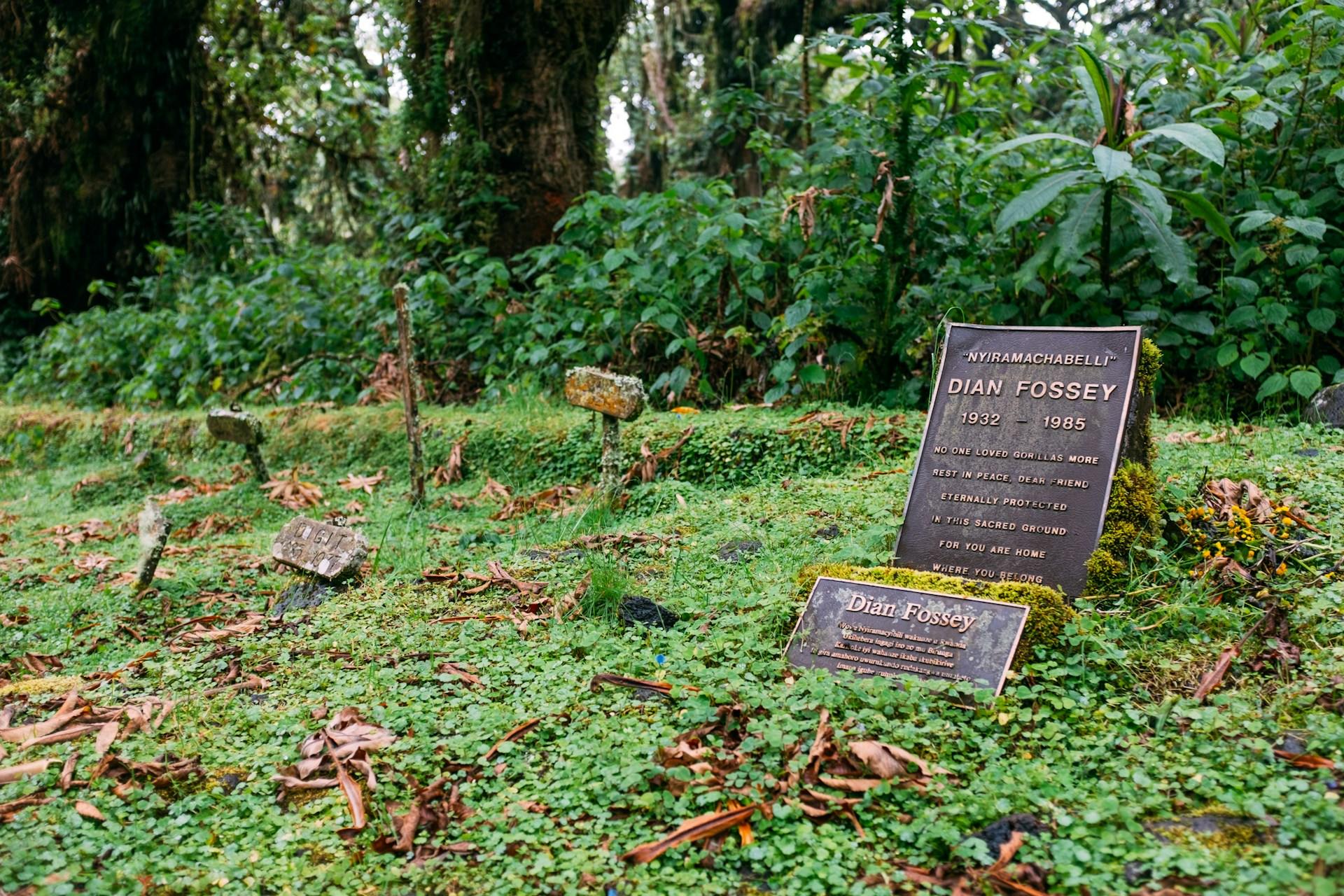 Miejsce spoczynku Dian Fossey, grób na trawniku.