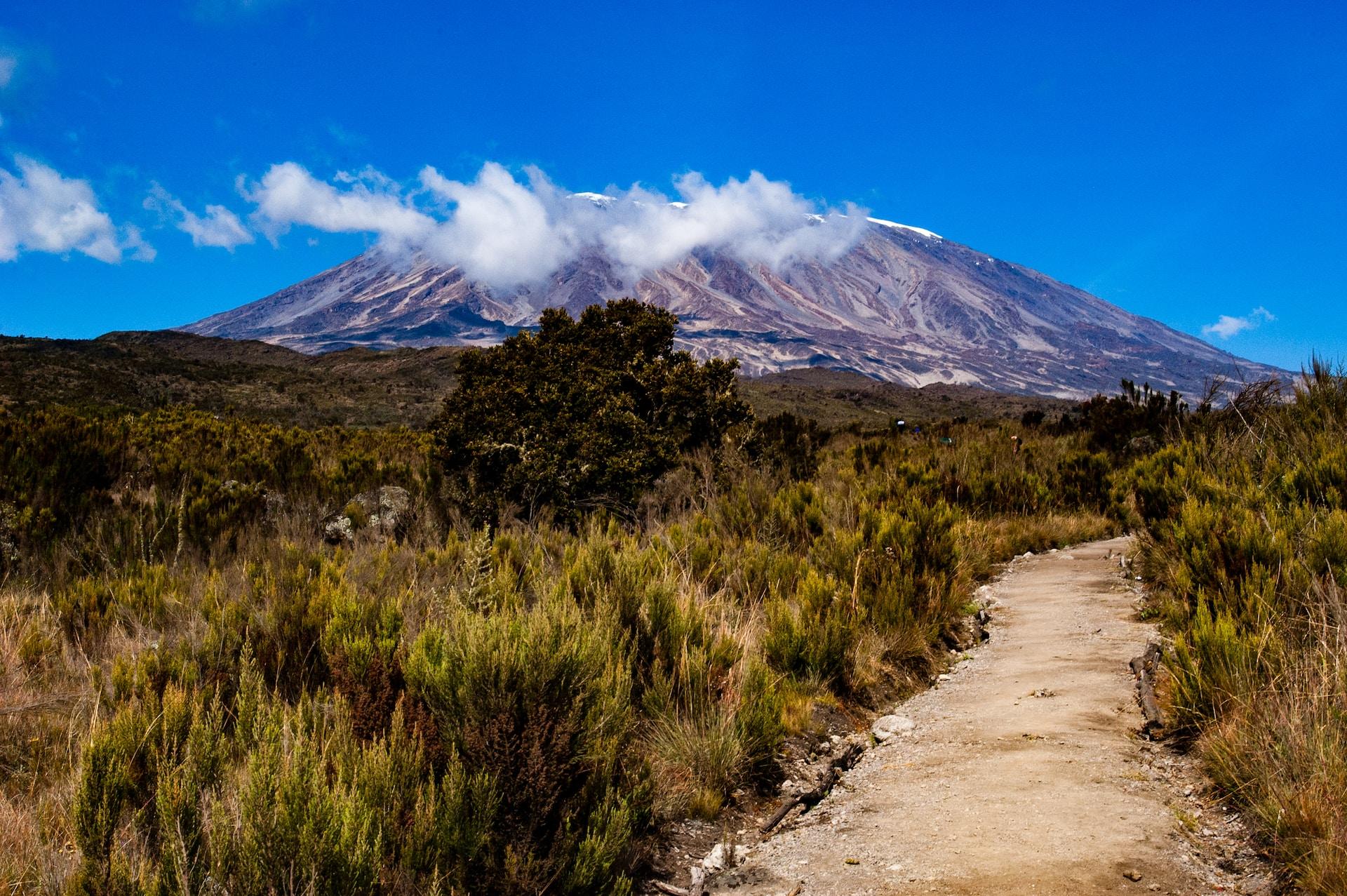 Góra Kilimandżaro, Tanzania, roślinność, trawa, ścieżka.