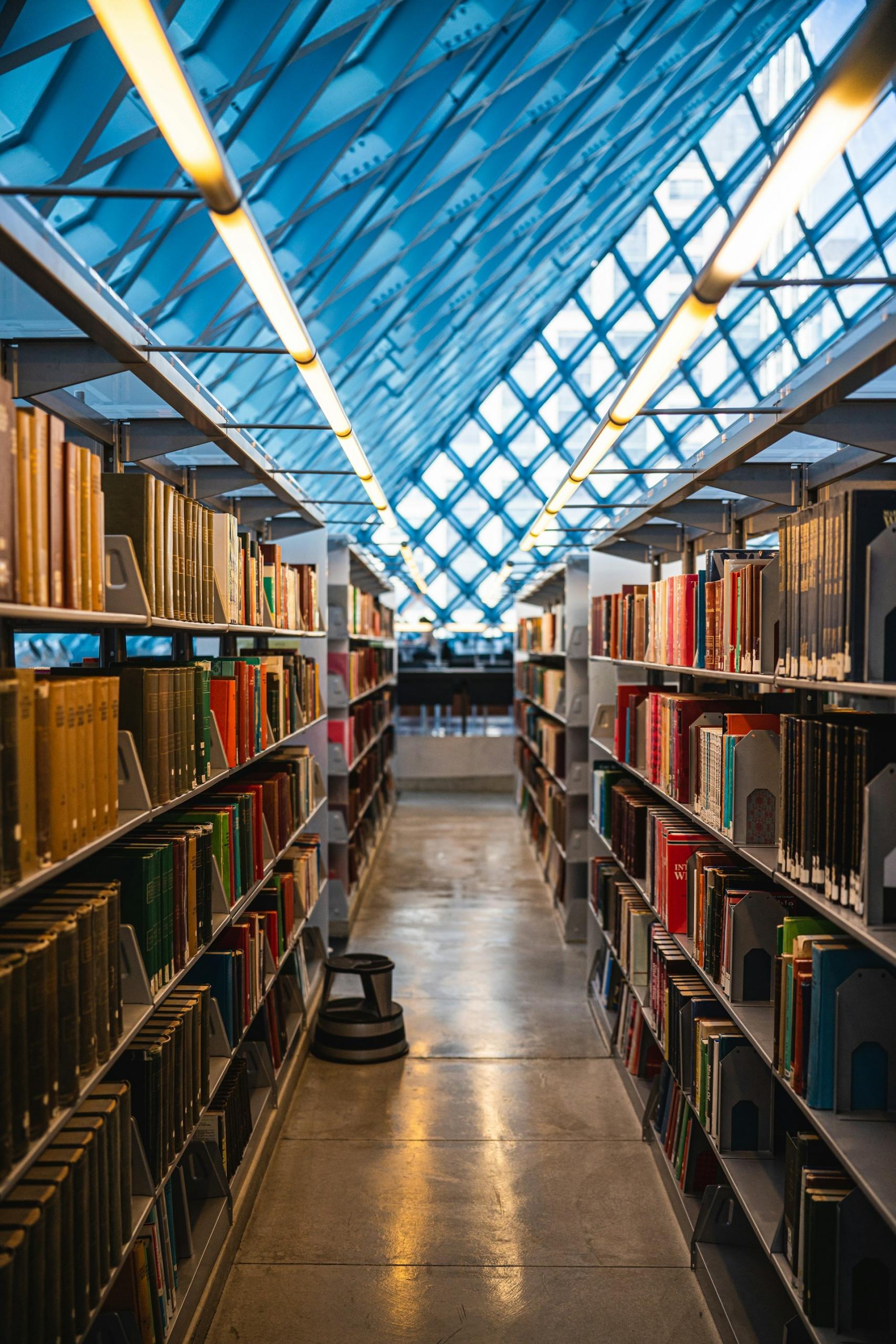 Książki, biblioteka, regały z książkami.