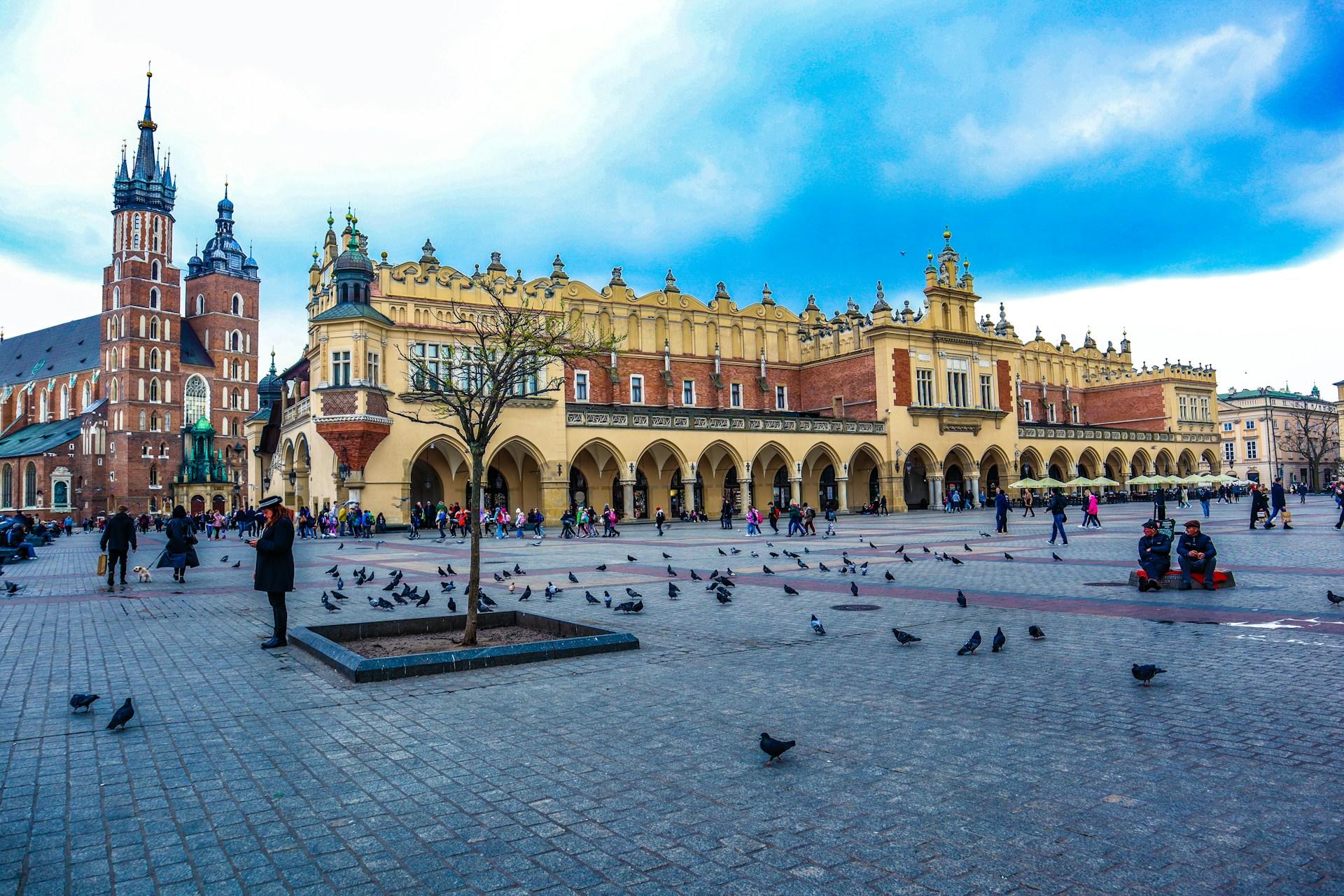 Kraków, rynek w Krakowie, starówka, gołębie.
