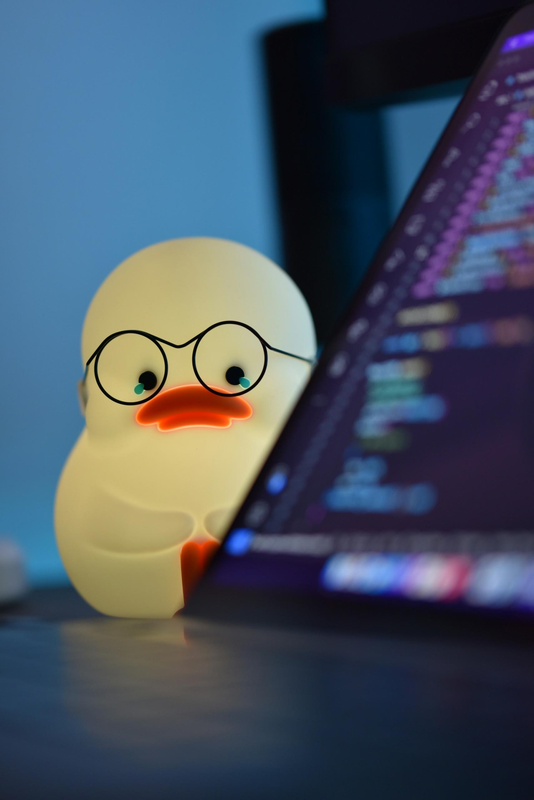 Kaczka gumowa, laptop, programowanie.
