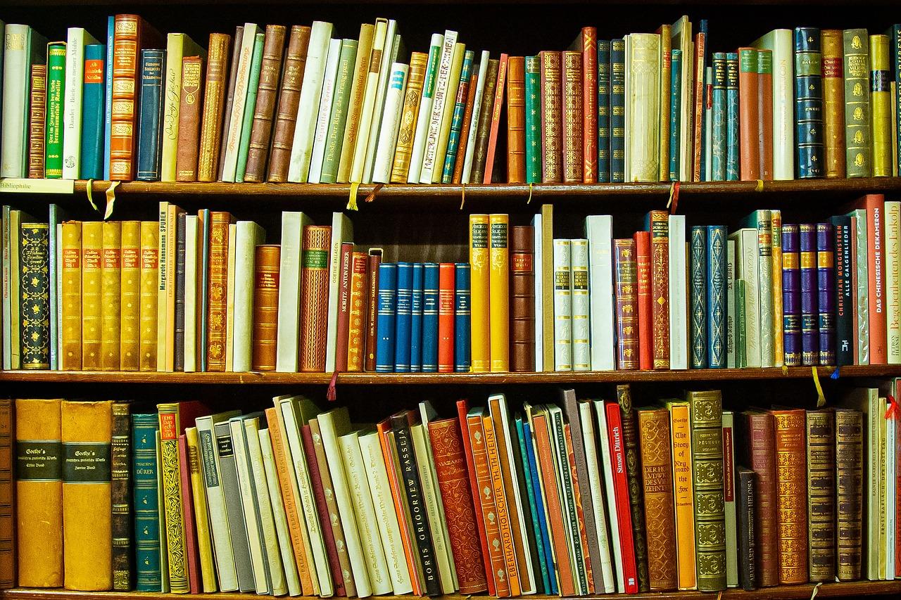 Książki na półkach, biblioteka, księgarnia.