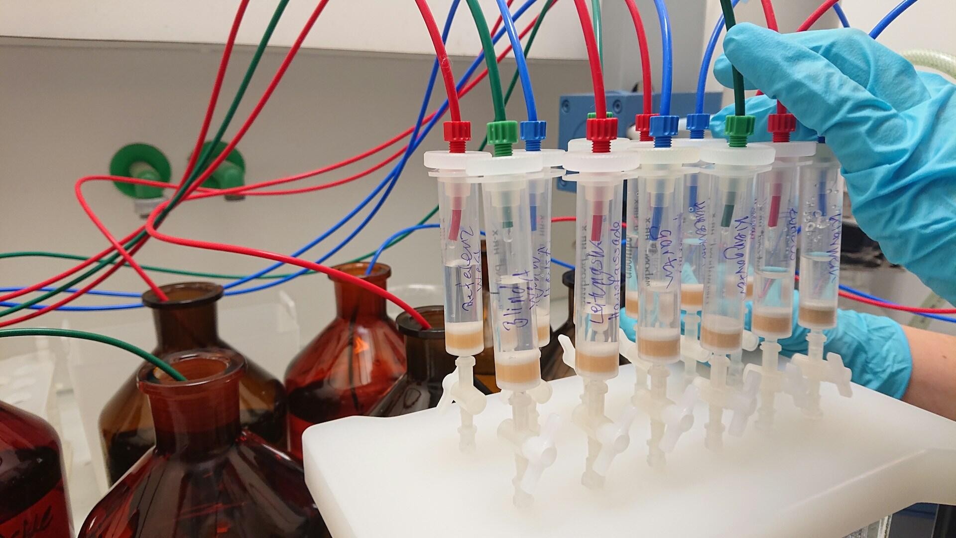 Próbki w laboratorium.