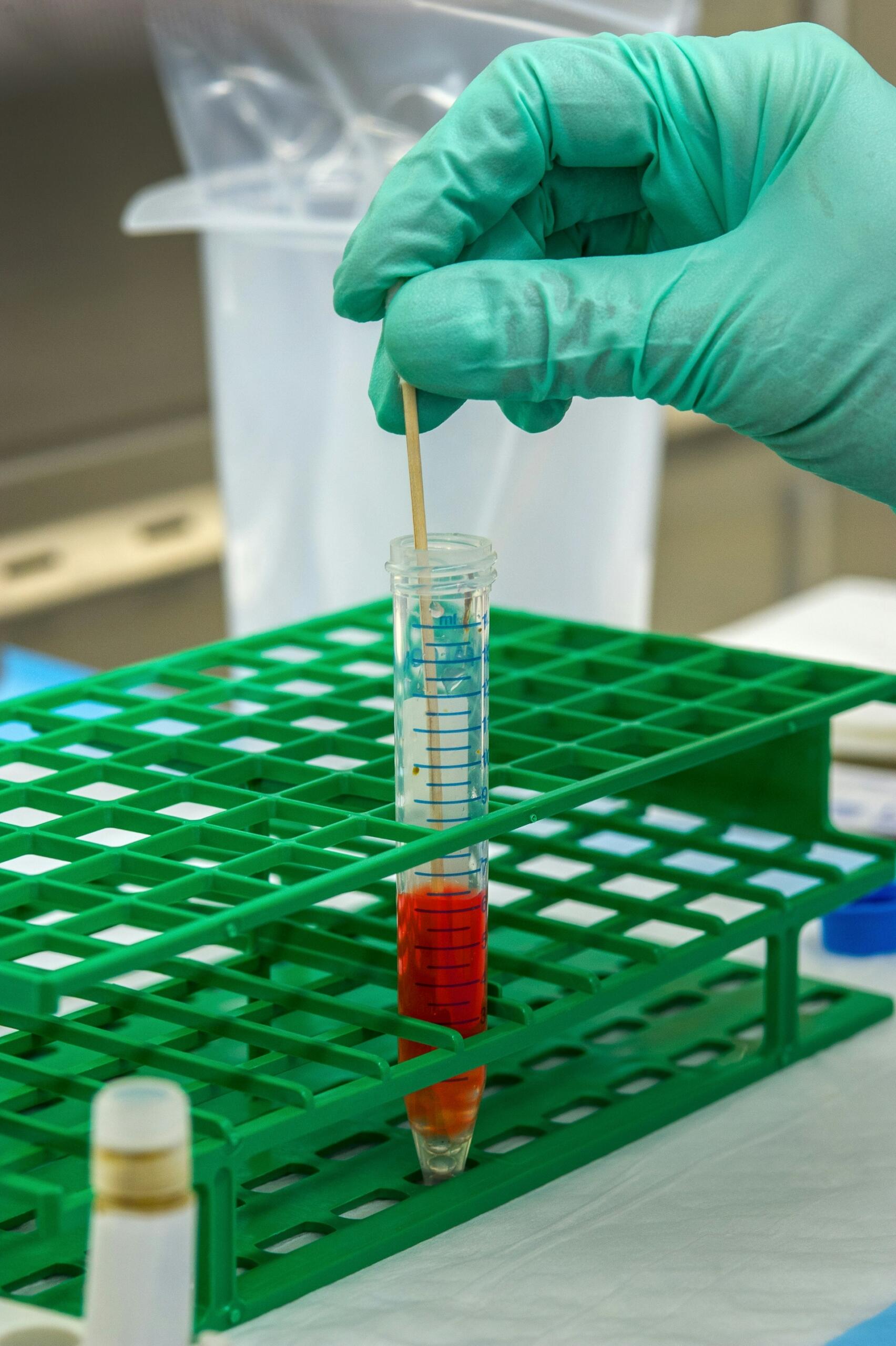 Próbówka z czerwona zawartością w laboratorium.
