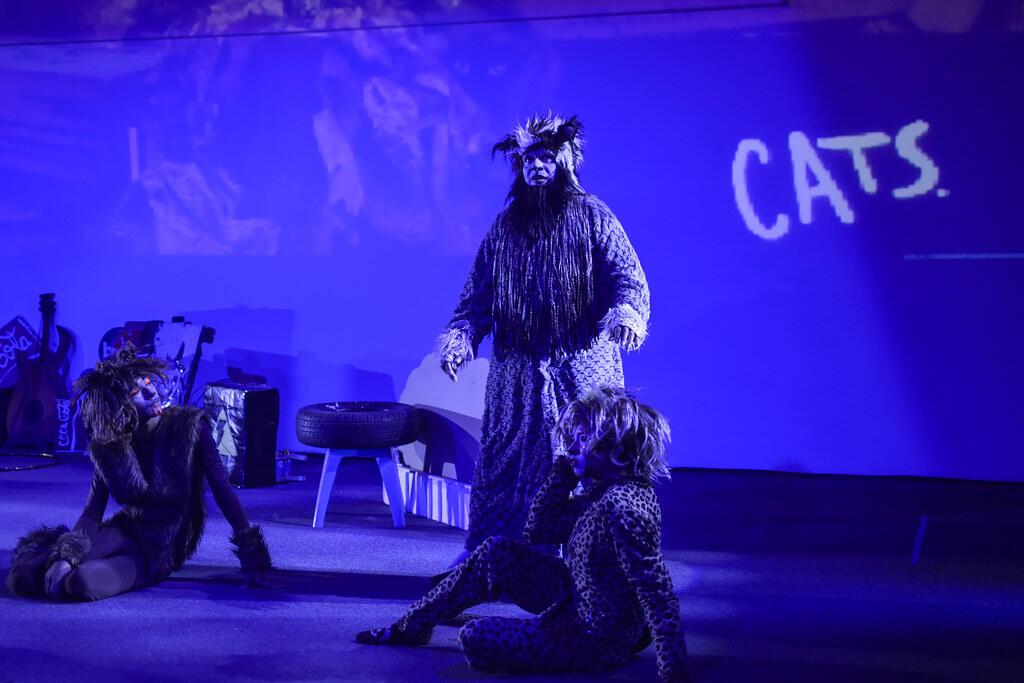 Aktorzy w musicalu Koty.