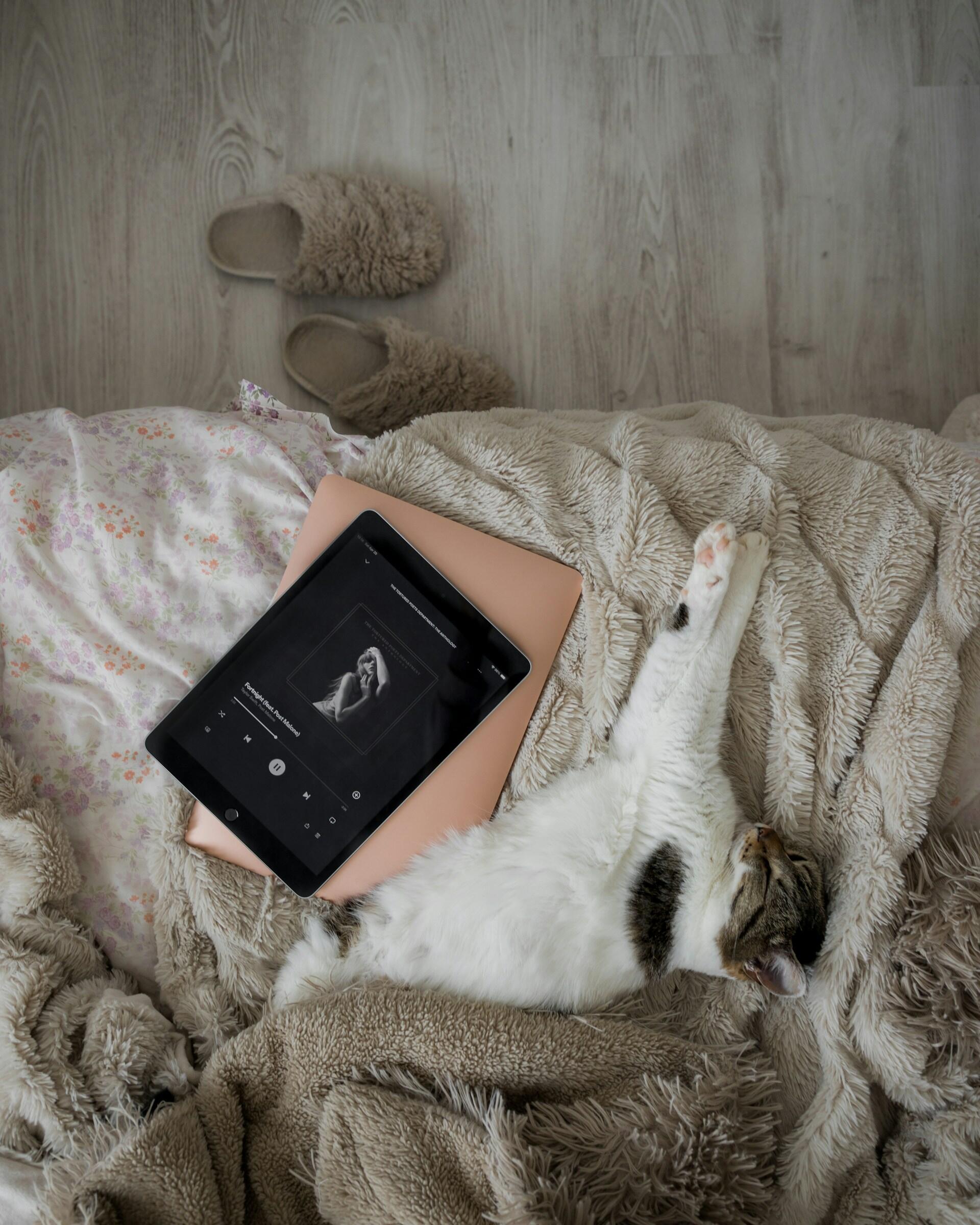 Czytnik do ebooków i kot nas łóżku z szarym kocem, kapcie na podłodze.