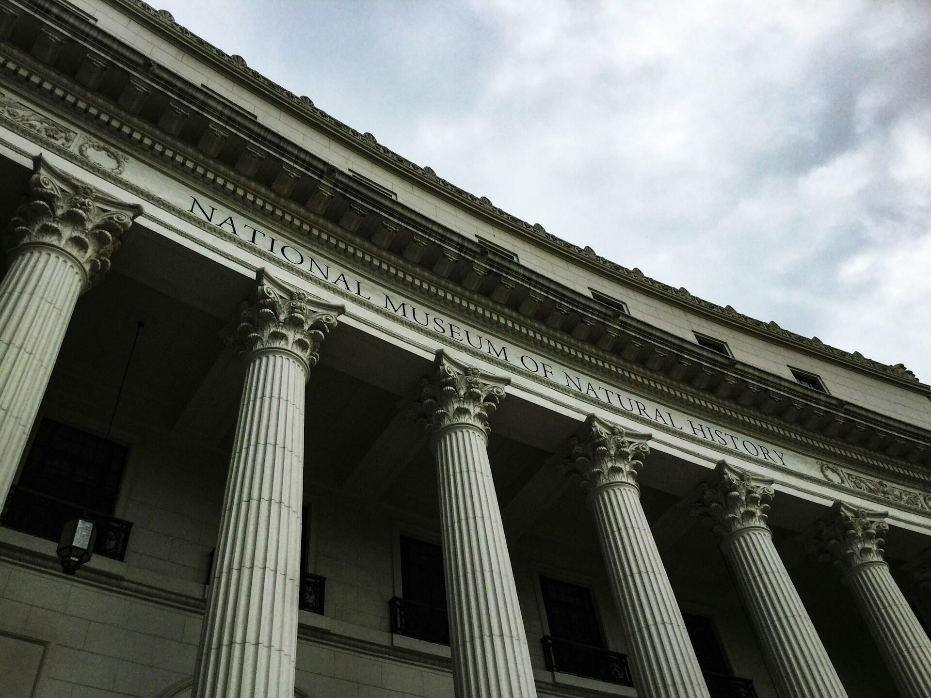 Budynek National Museum of Natural History. Unsplash: Naomi Lomotan