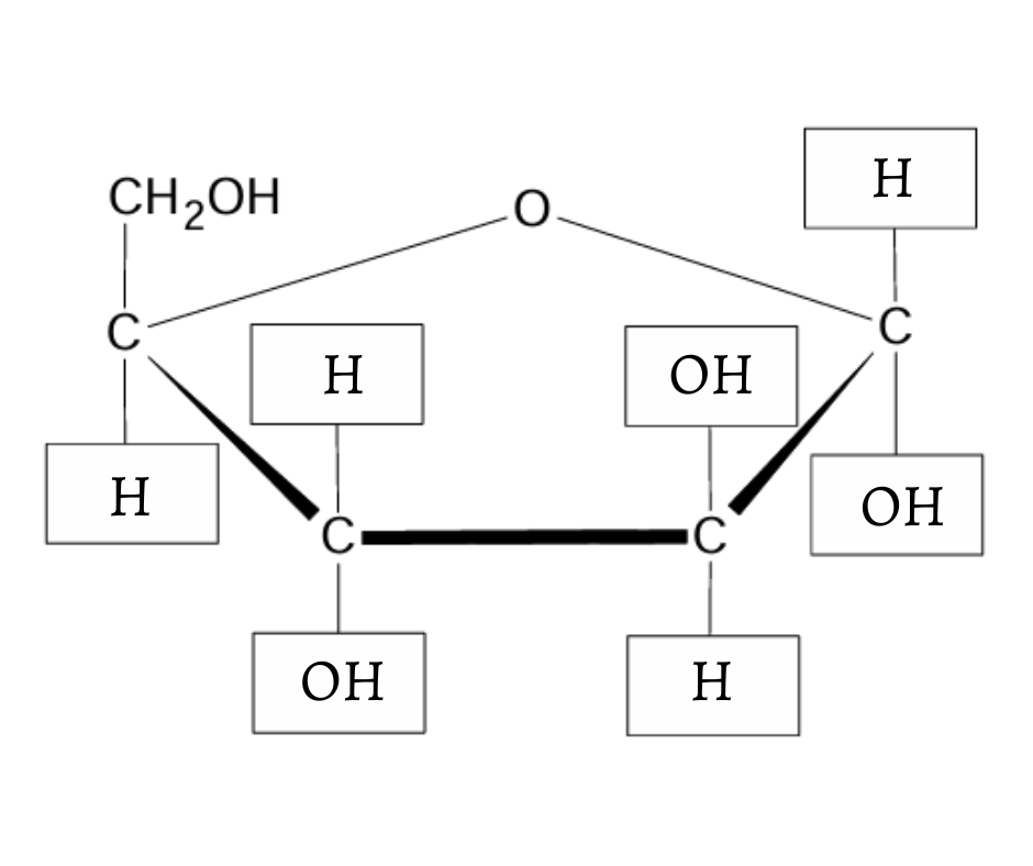 Wzór chemiczny α-D-arabinofuranozy w projekcji Hawortha (wzór taflowy).