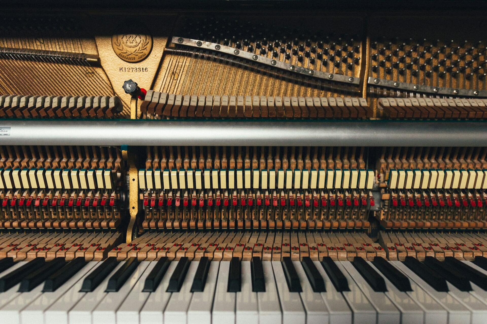 Zbliżenie na otwarty mechanizm młoteczkowy pianina akustycznego; u dołu widoczny jest rząd białych i czarnych klawiszy, a u góry odsłonięta, skomplikowana struktura dźwigni, tasiemek, filcowych tłumików oraz młoteczków.