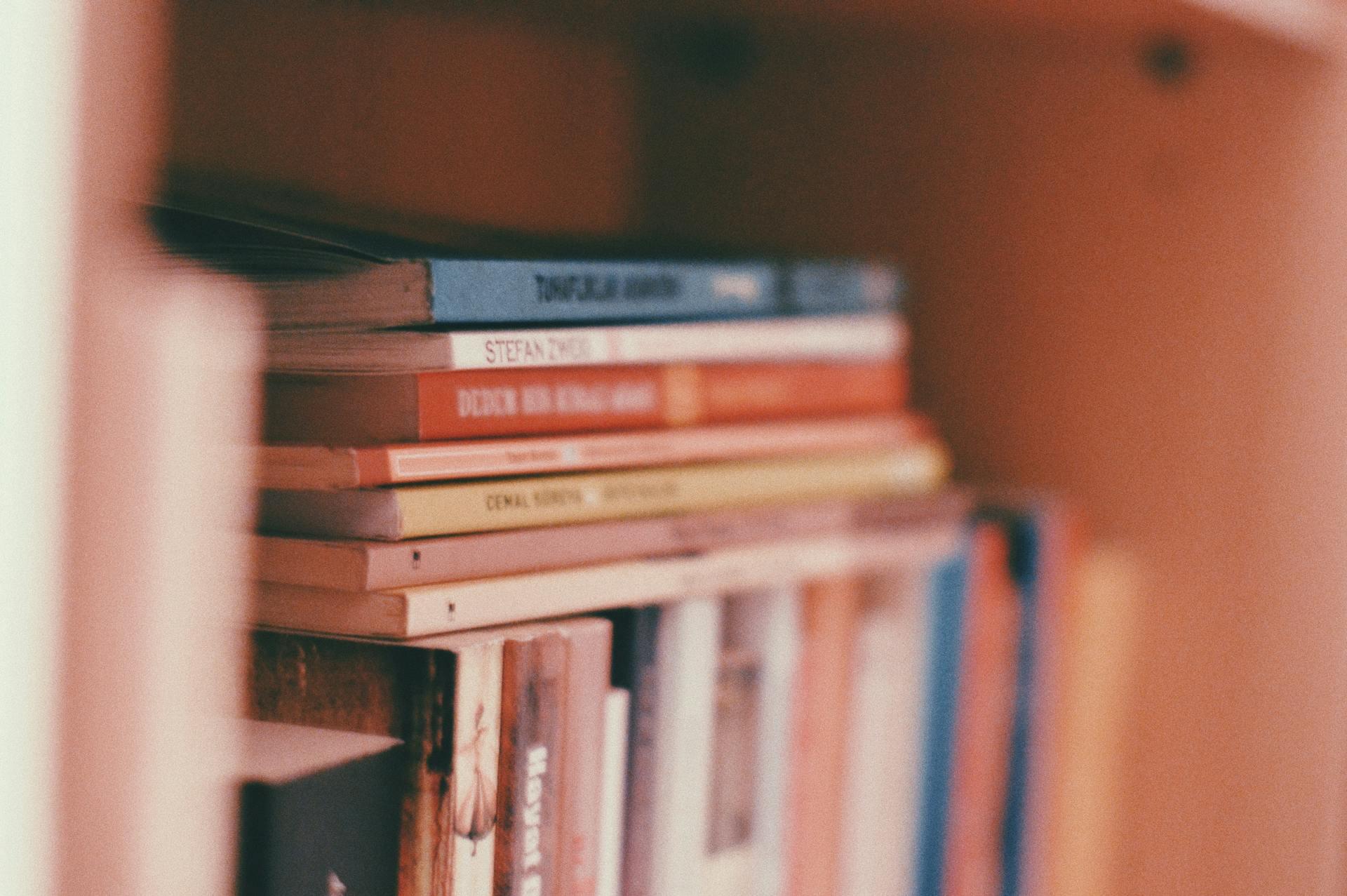vários livros organizados e uma pilha por cima